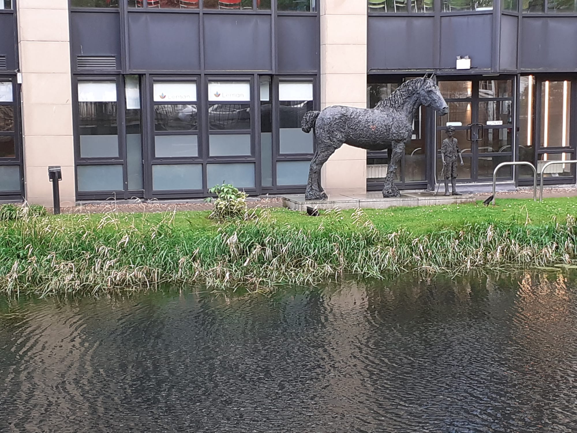 2020 05 01st Grand Canal Dublin Percy Place Lock C2 towpath horse