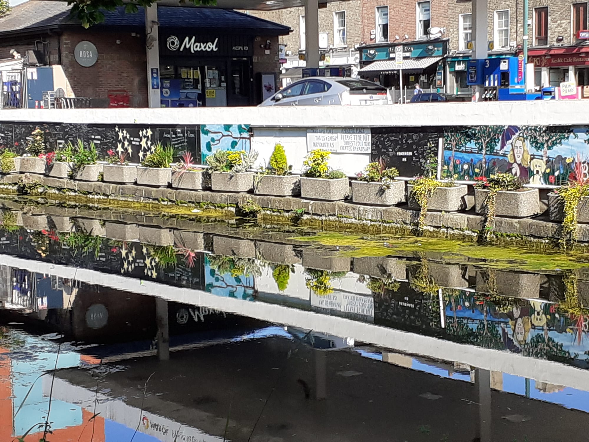 2020 05 01st Grand Canal Dublin Baggot Street canalside flowers grafitti