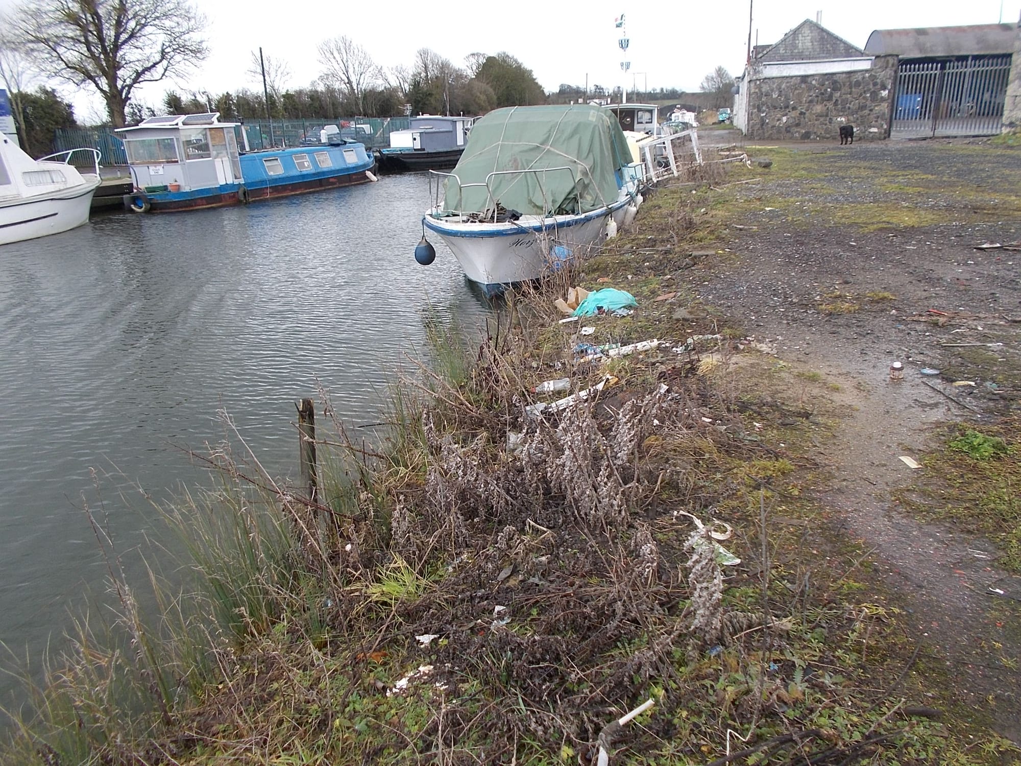 2015 06 Grand Canal Lowtown, Lowtown Marine in former Grand Canal Company coalyard