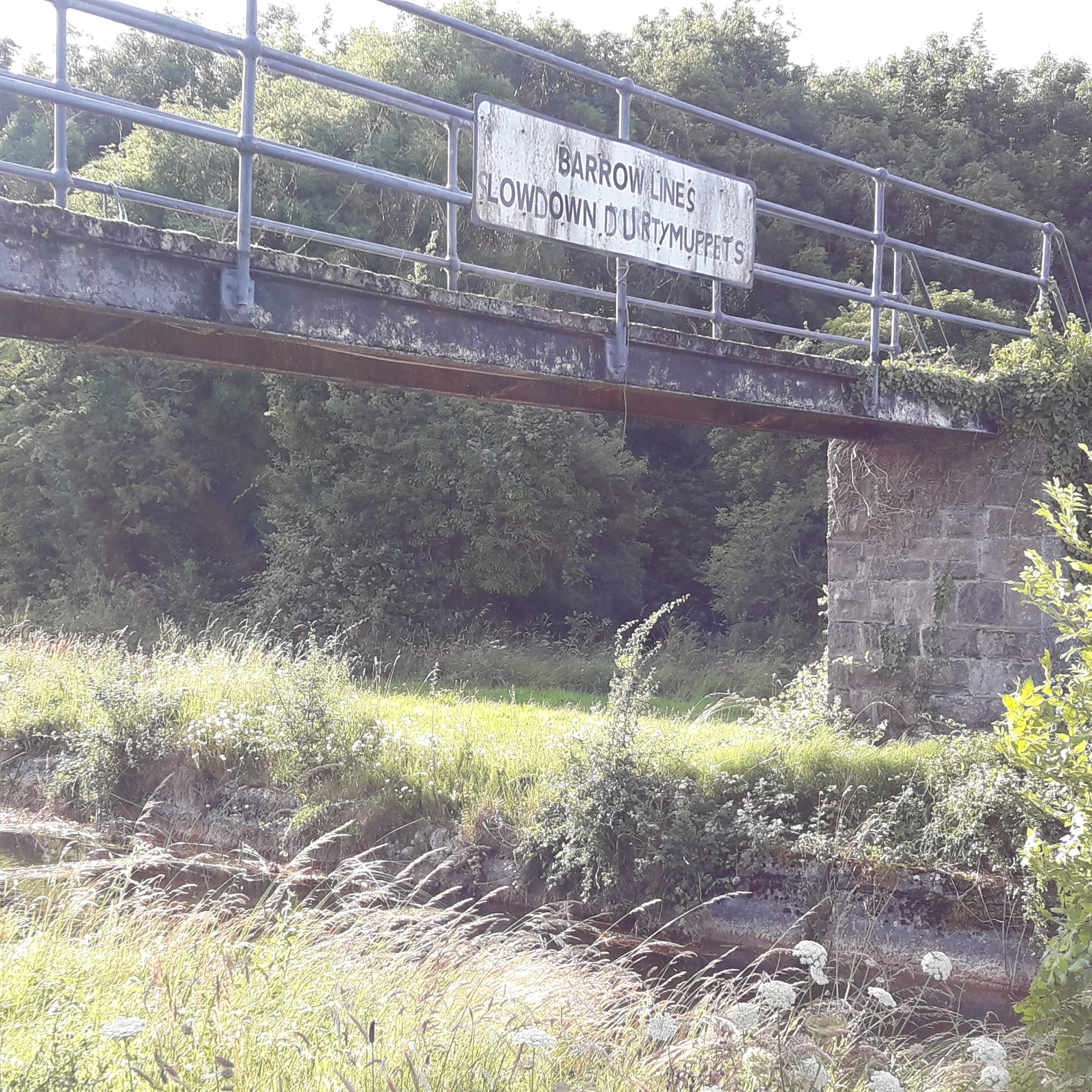 2019 07 18th Grand Canal Lowtown Barrow Line needs repair