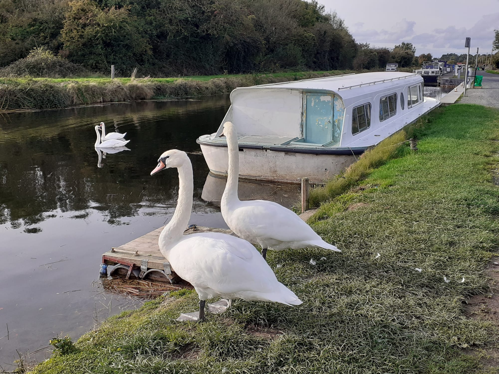 2022 10 08th Grand Canal Lowtown