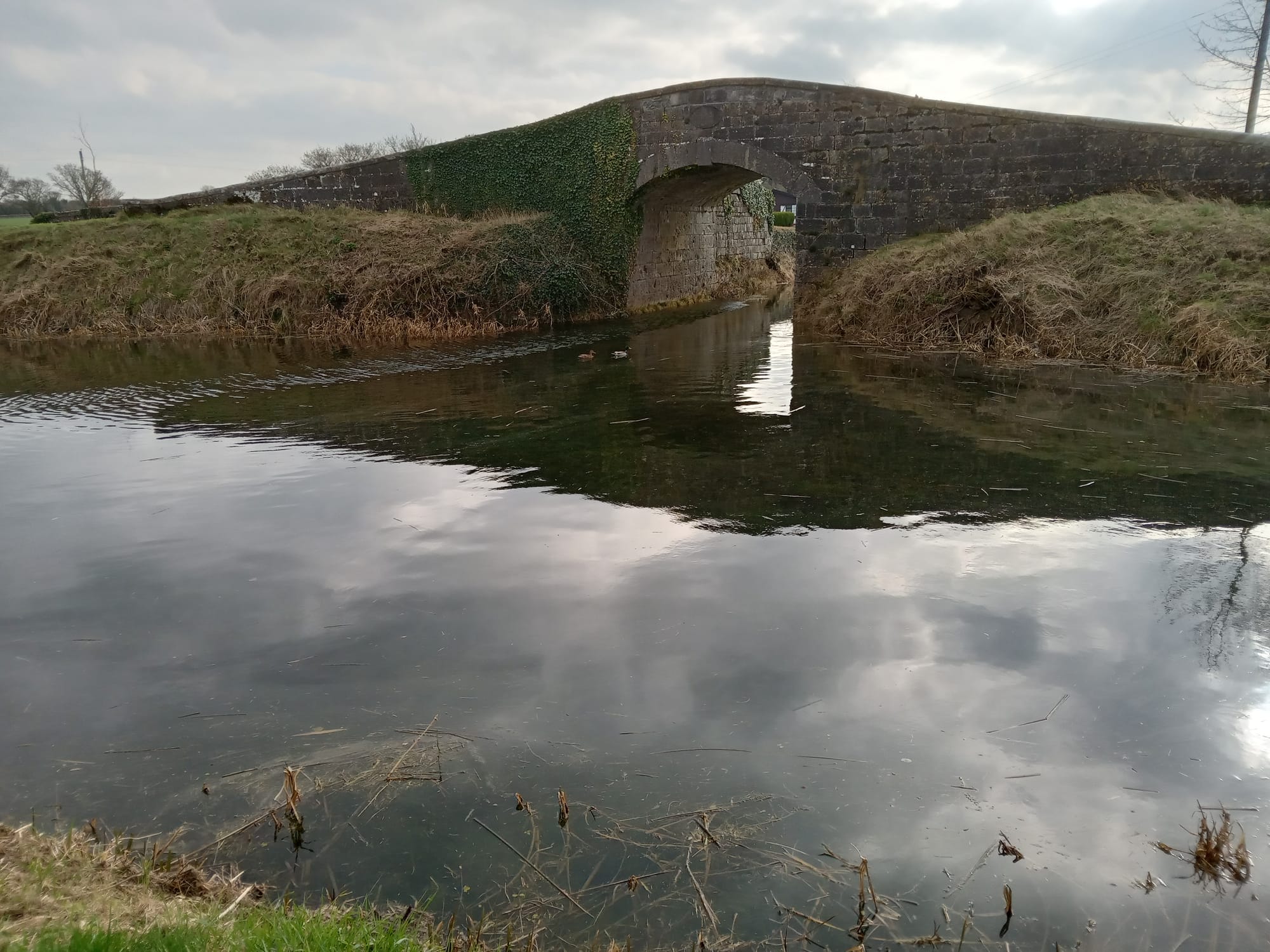 2023 02 13th Grand Canal Lowtown  Milltown feeder bridge