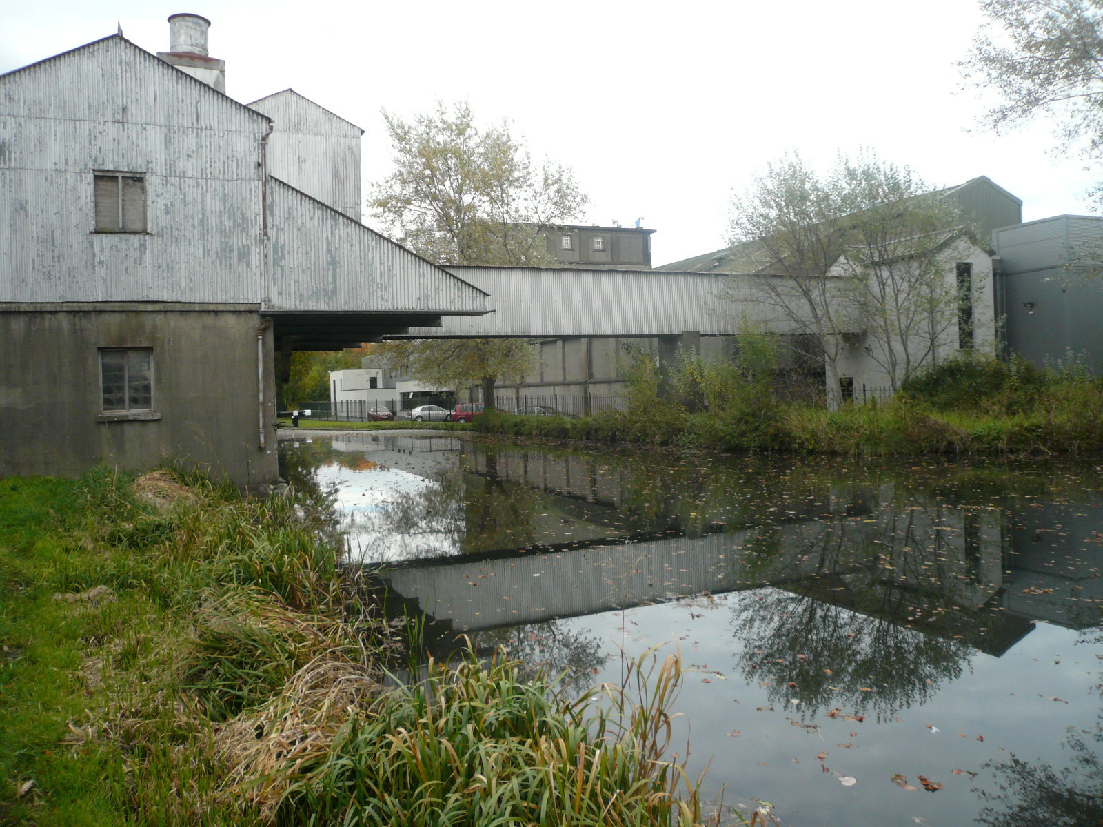 2016 09 Grand Canal Naas Line, Leinster Mills, Lock N2