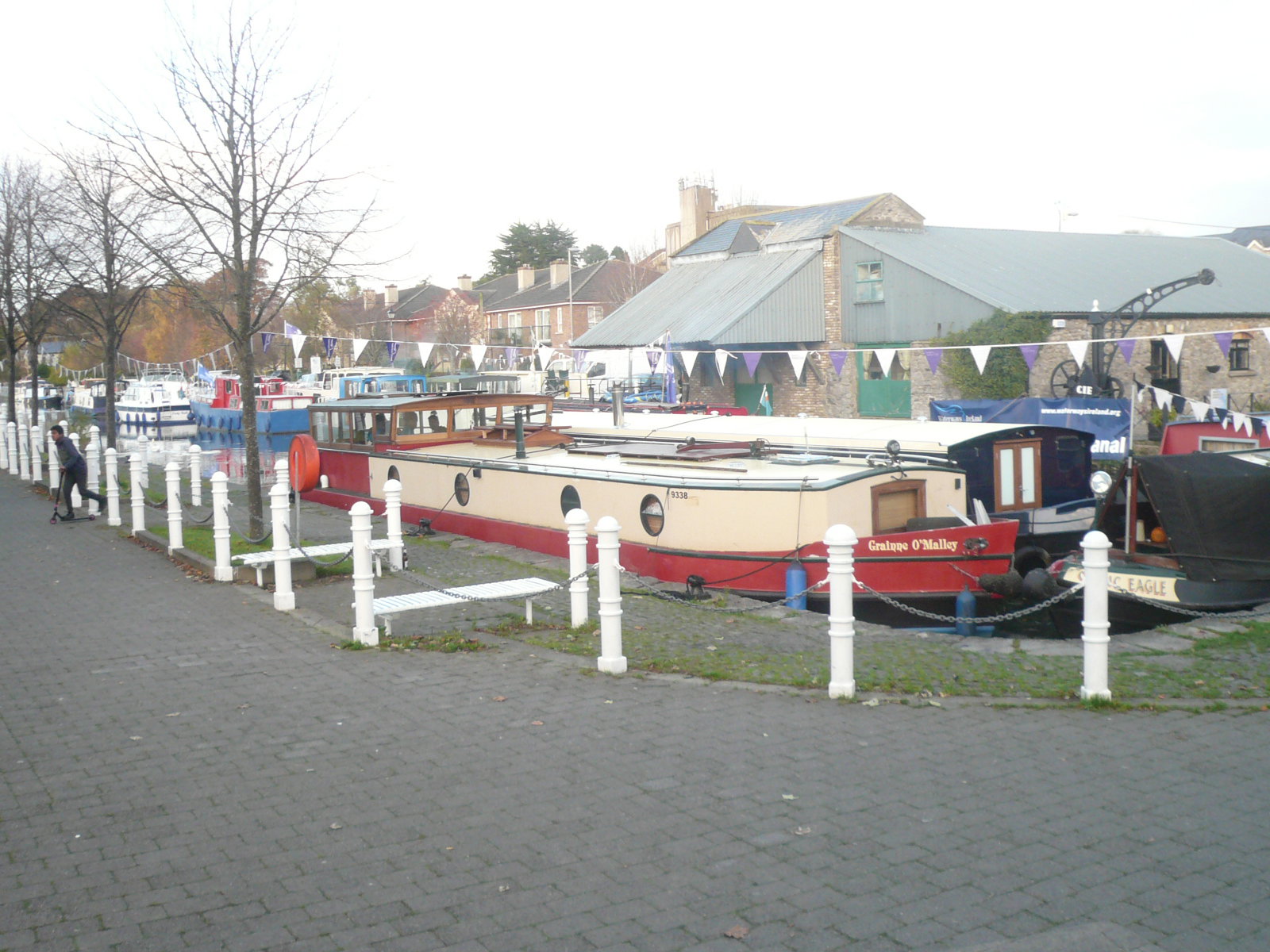 2017 10 Grand Canal Naas Line IWAI rally