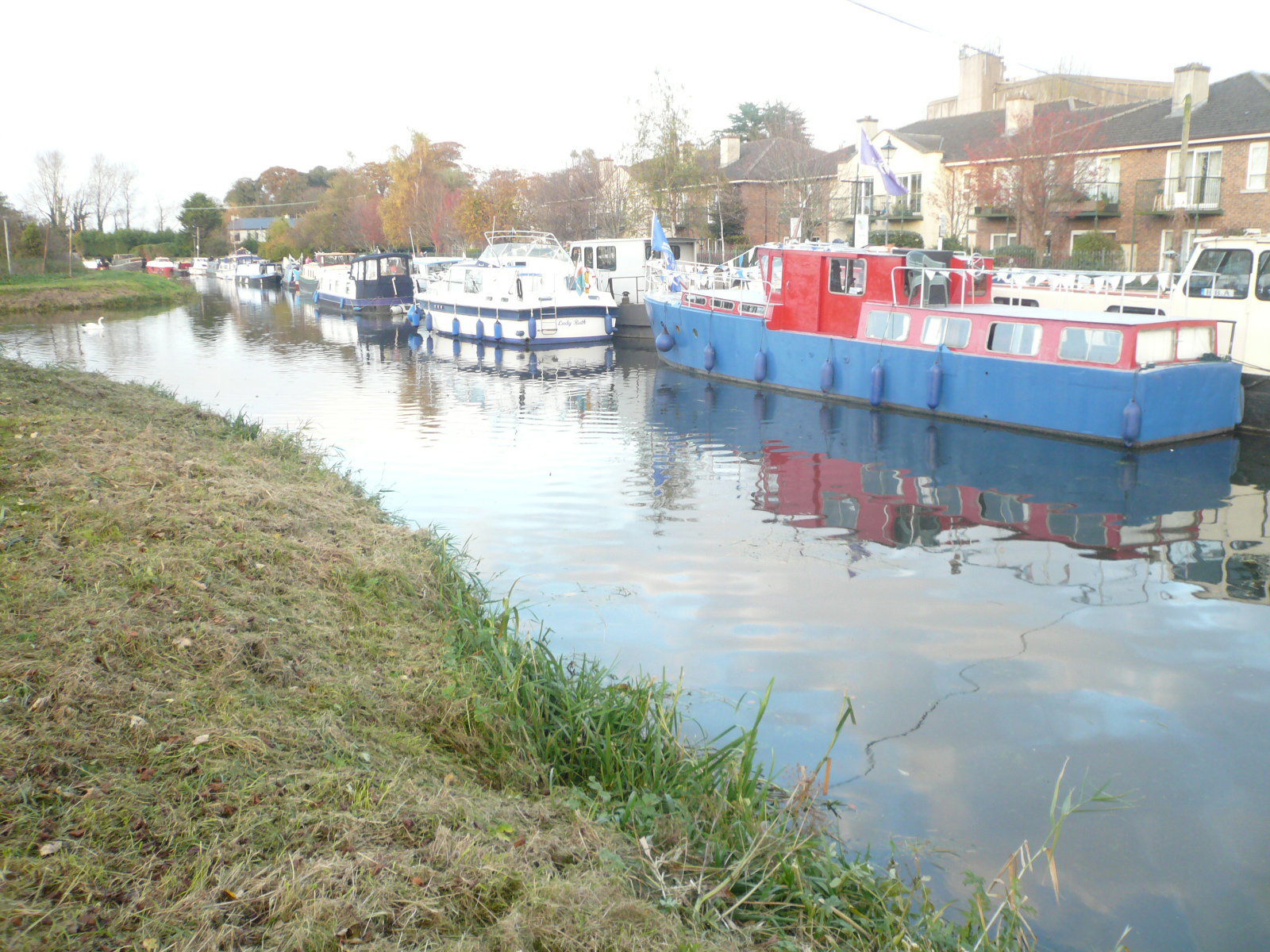 2017 10 Grand Canal Naas Line IWAI rally
