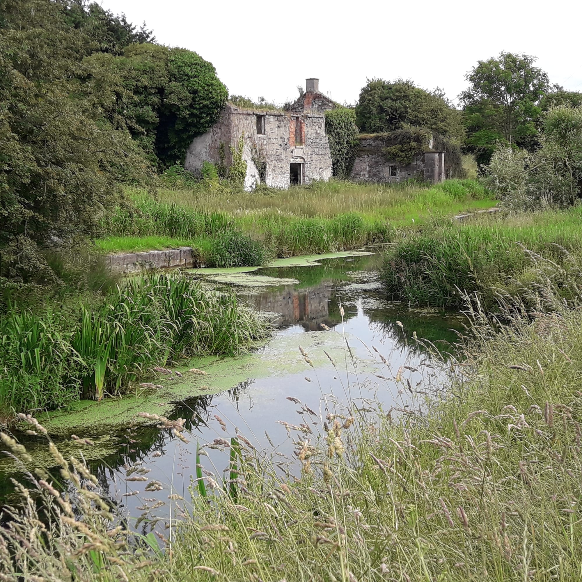 2019 07 07th Grand Canal Corbally Line, Corbally Harbour