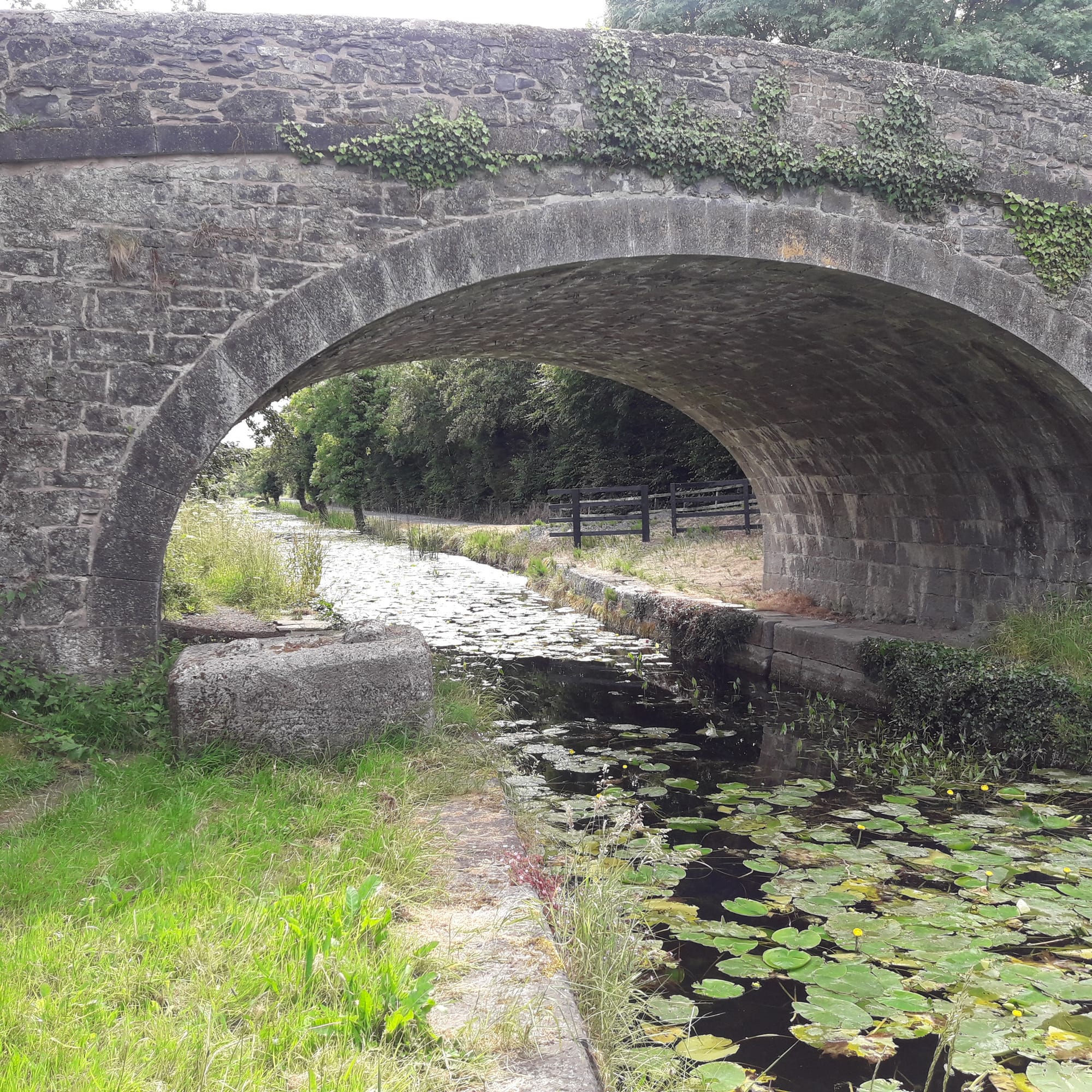 2019 07 07th Grand Canal Corbally Line, bridges remain but in poor condition