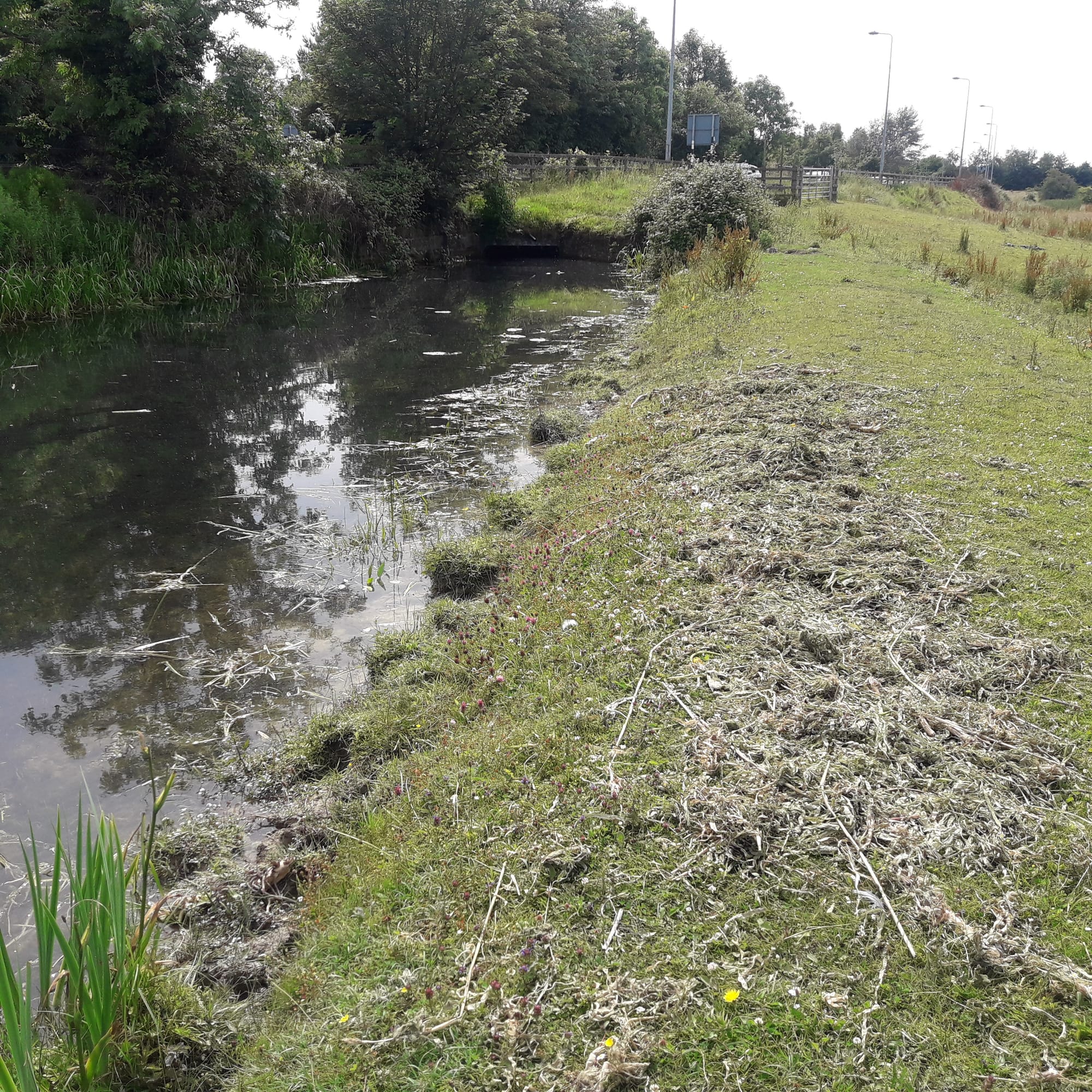 2019 07 07th Grand Canal Corbally Line, navigation remains but is in poor condition