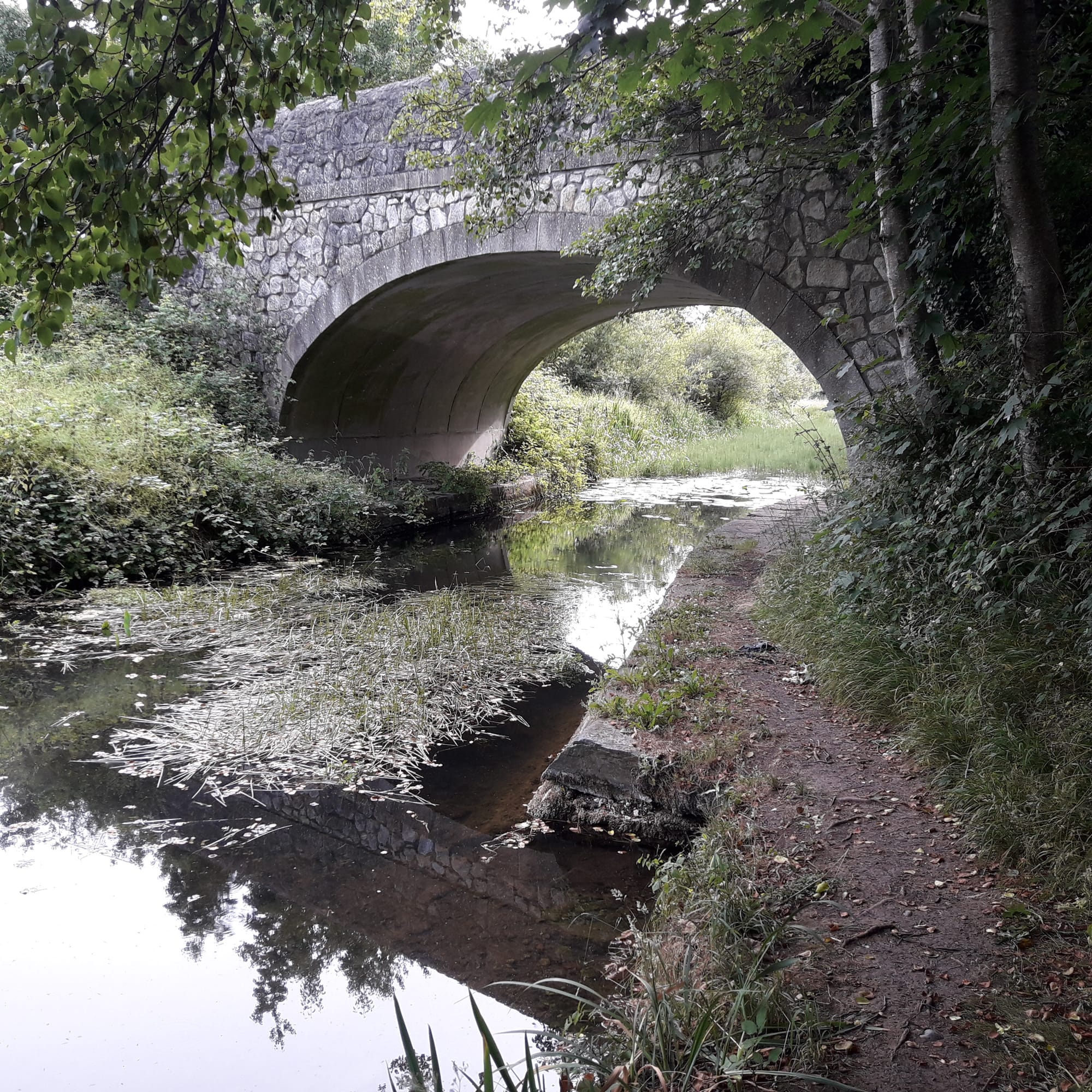 2019 07 07th Grand Canal Corbally Line, navigation and bridges remain