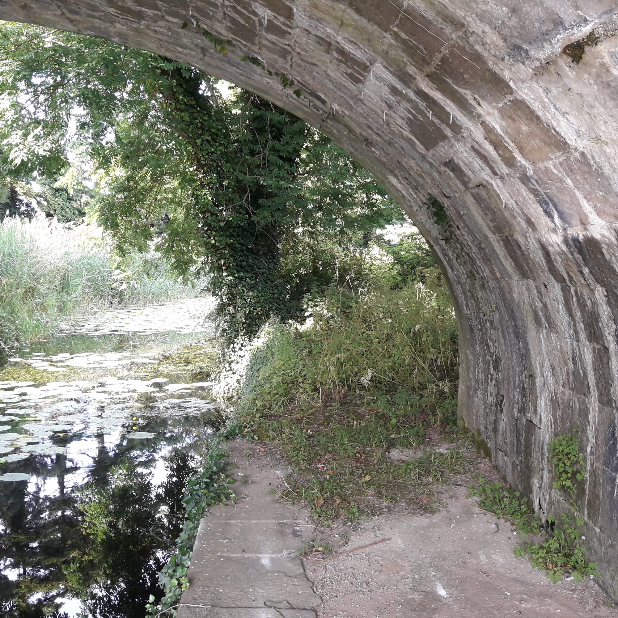 2019 07 07th Grand Canal Corbally Line, navigation remains but is in poor condition