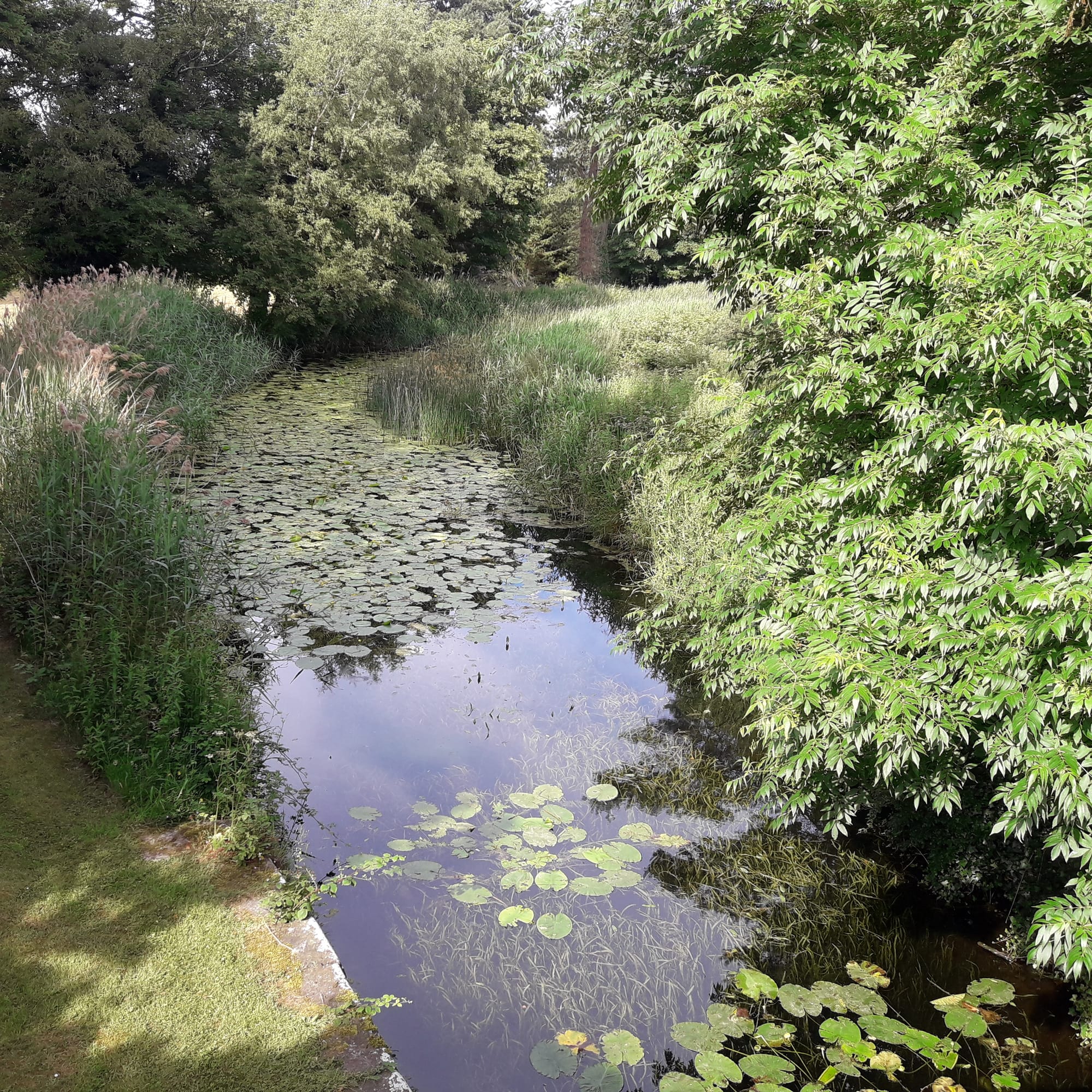 2019 07 07th Grand Canal Corbally Line, navigation remains but is in poor condition