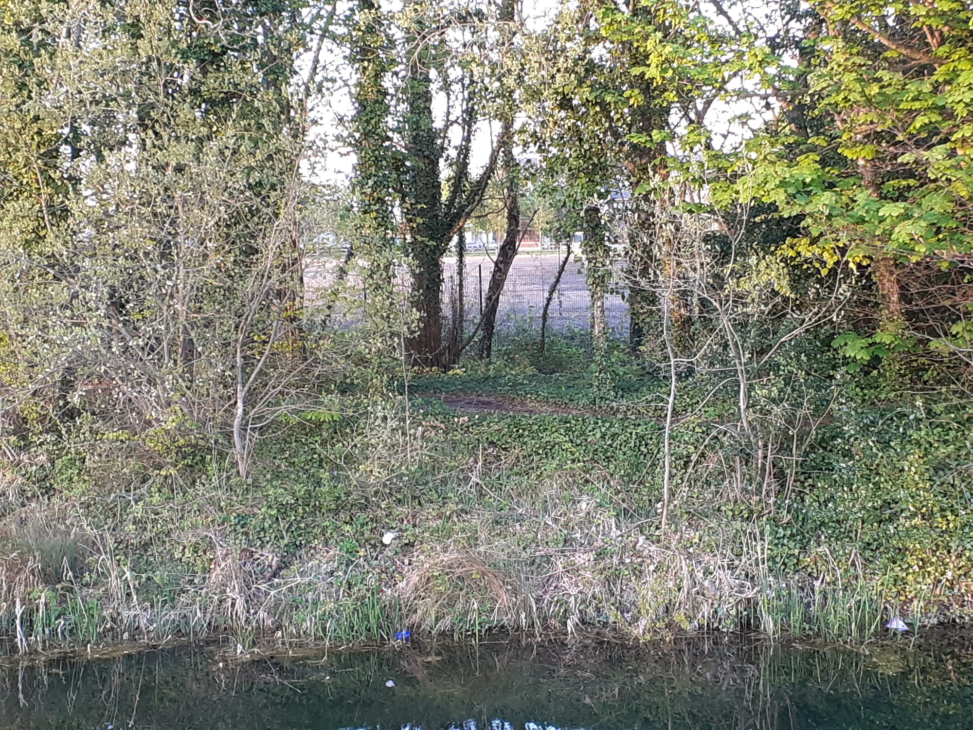 2021 06 Grand Canal Naas line towpath missing