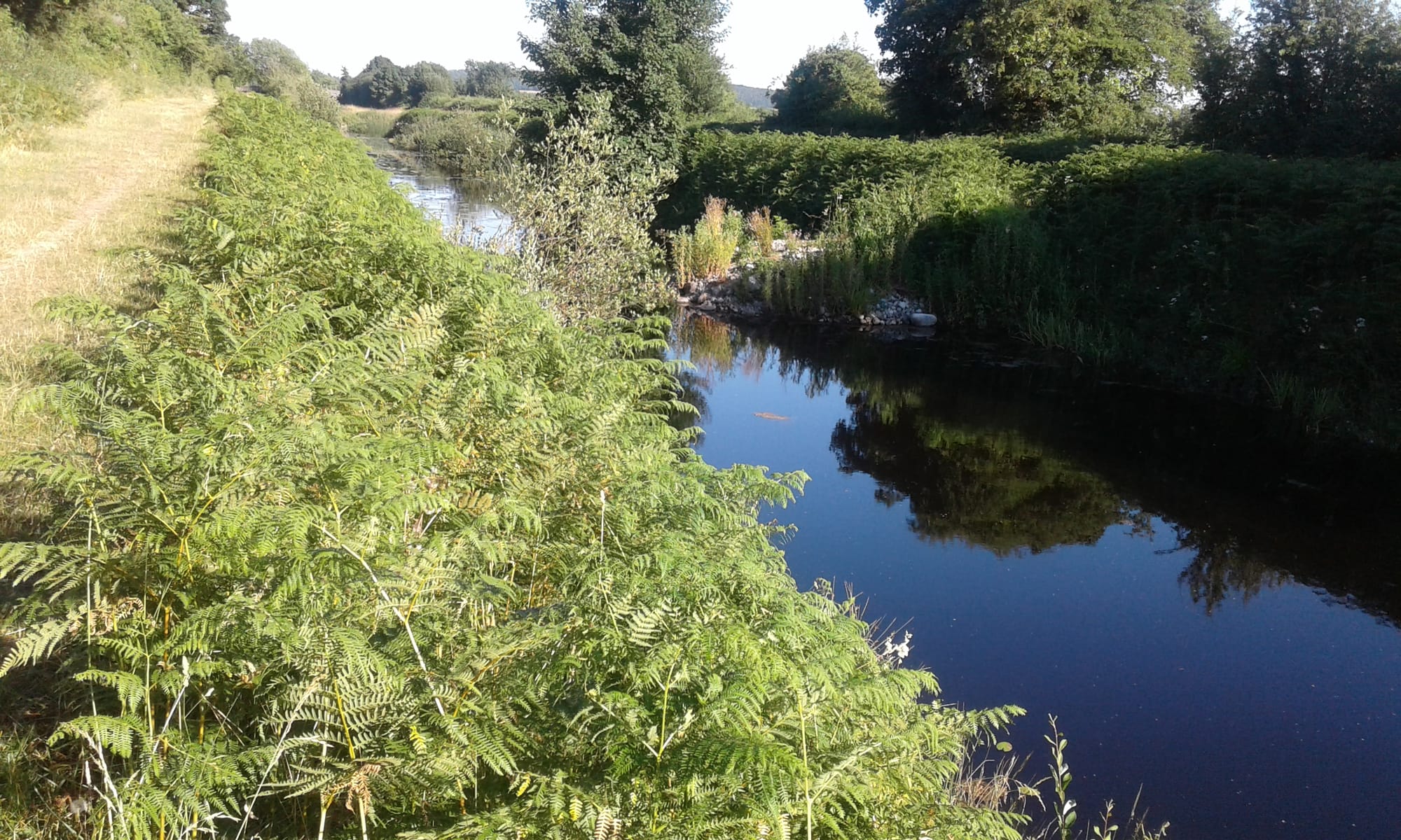 2018 07 03rd Grand Canal Mountmellick branch still has water and towpath
