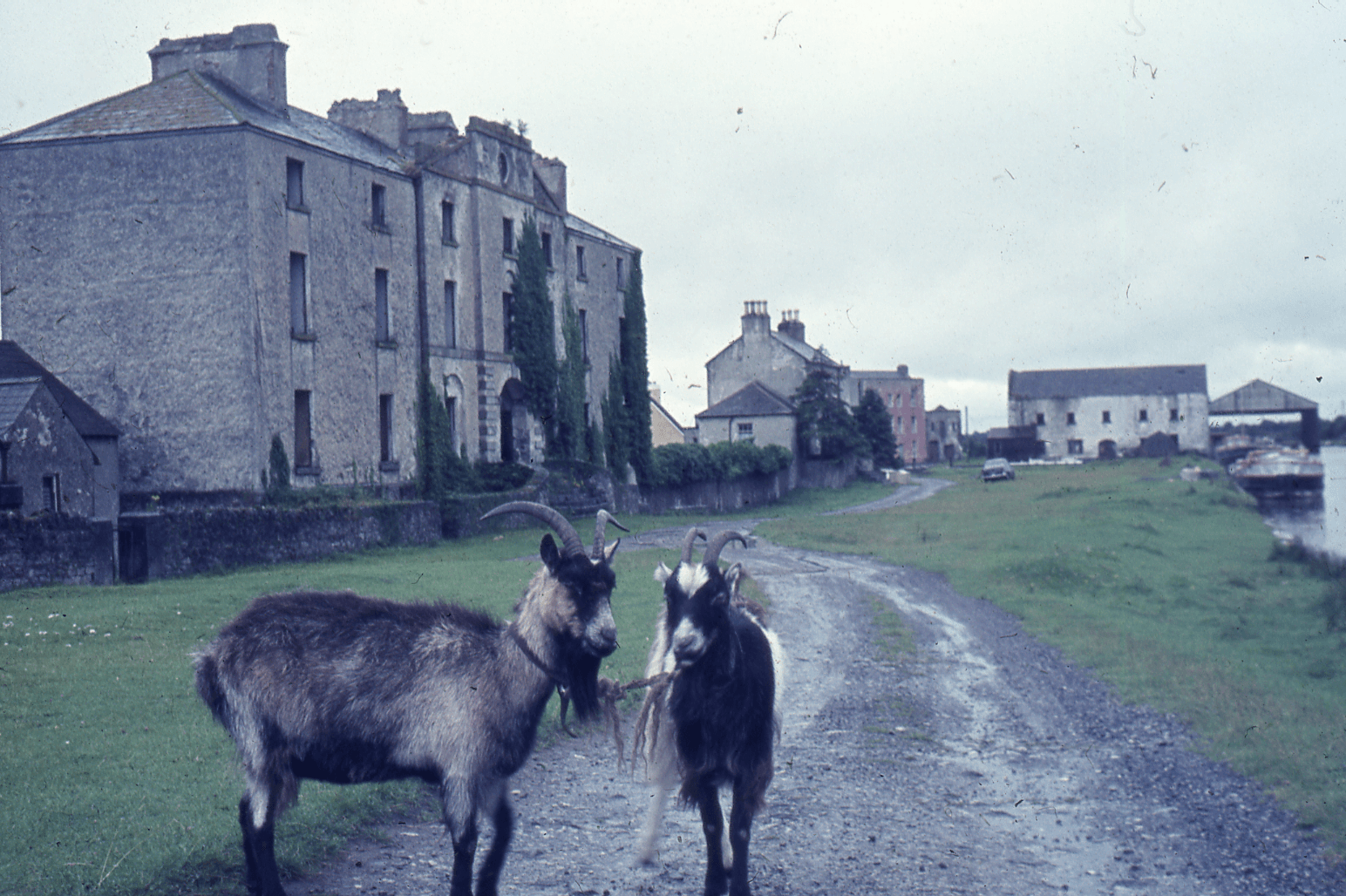 000 history Grand Canal Shannon Harbour