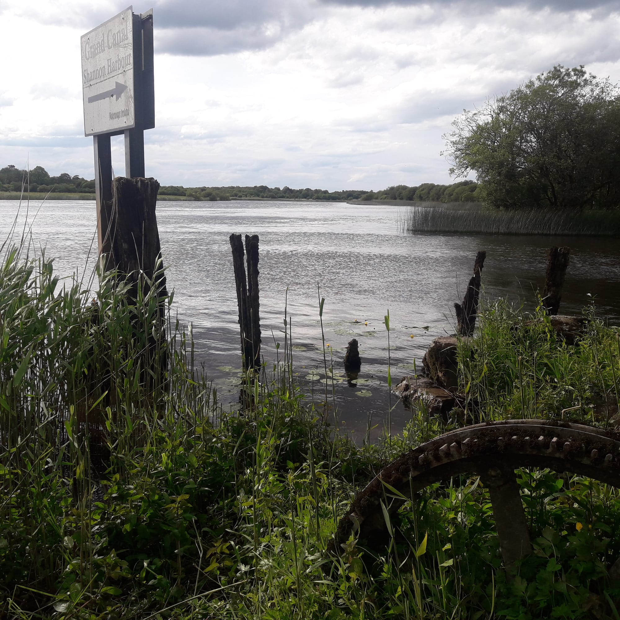 2019 06 22nd Grand Canal Shannon Harbour  crossing to Ballinasloe Line chain ferry mooring