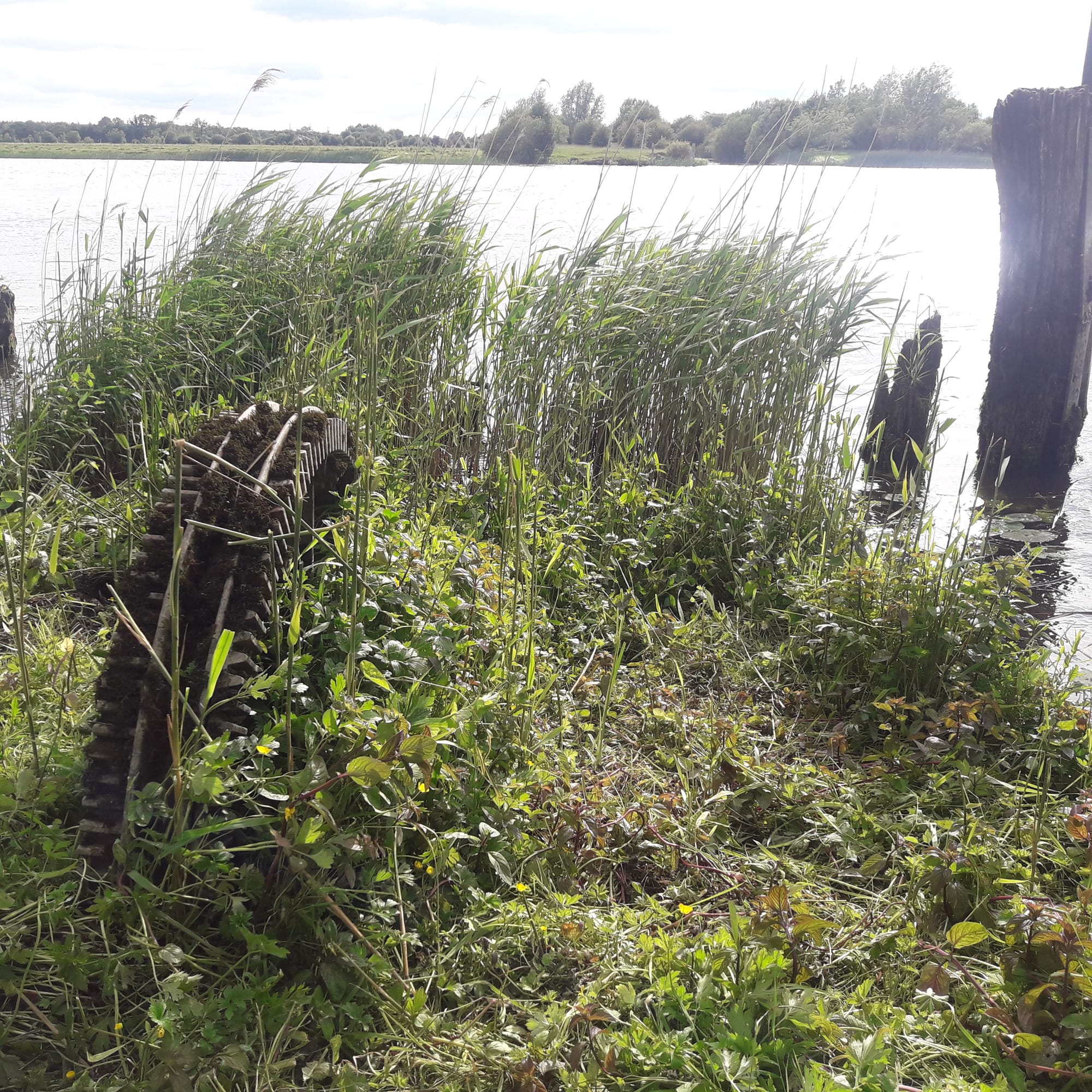 2019 06 22nd Grand Canal Shannon Harbour  crossing to Ballinasloe Line chain ferry mooring