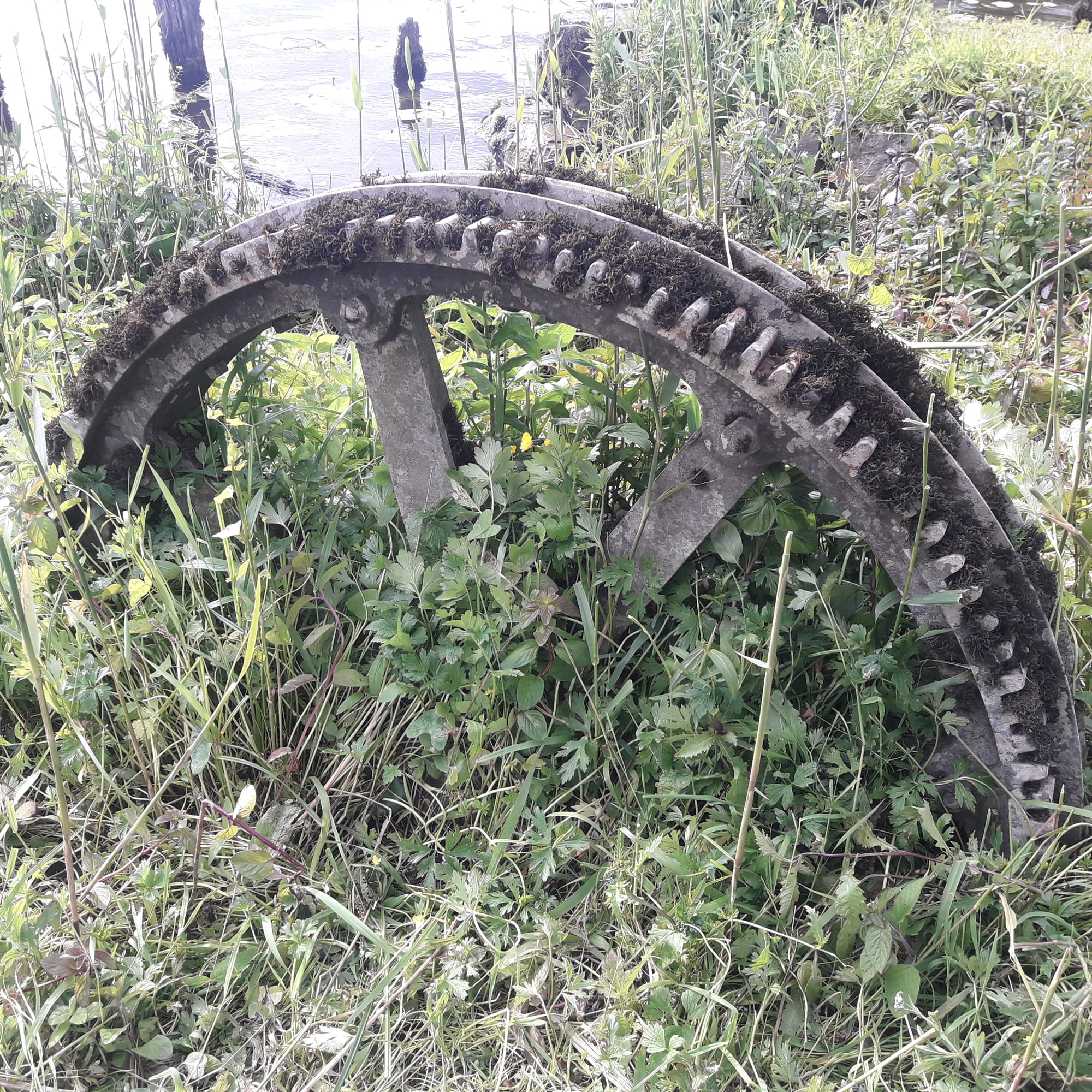 2019 06 22nd Grand Canal Shannon Harbour  crossing to Ballinasloe Line chain ferry mooring