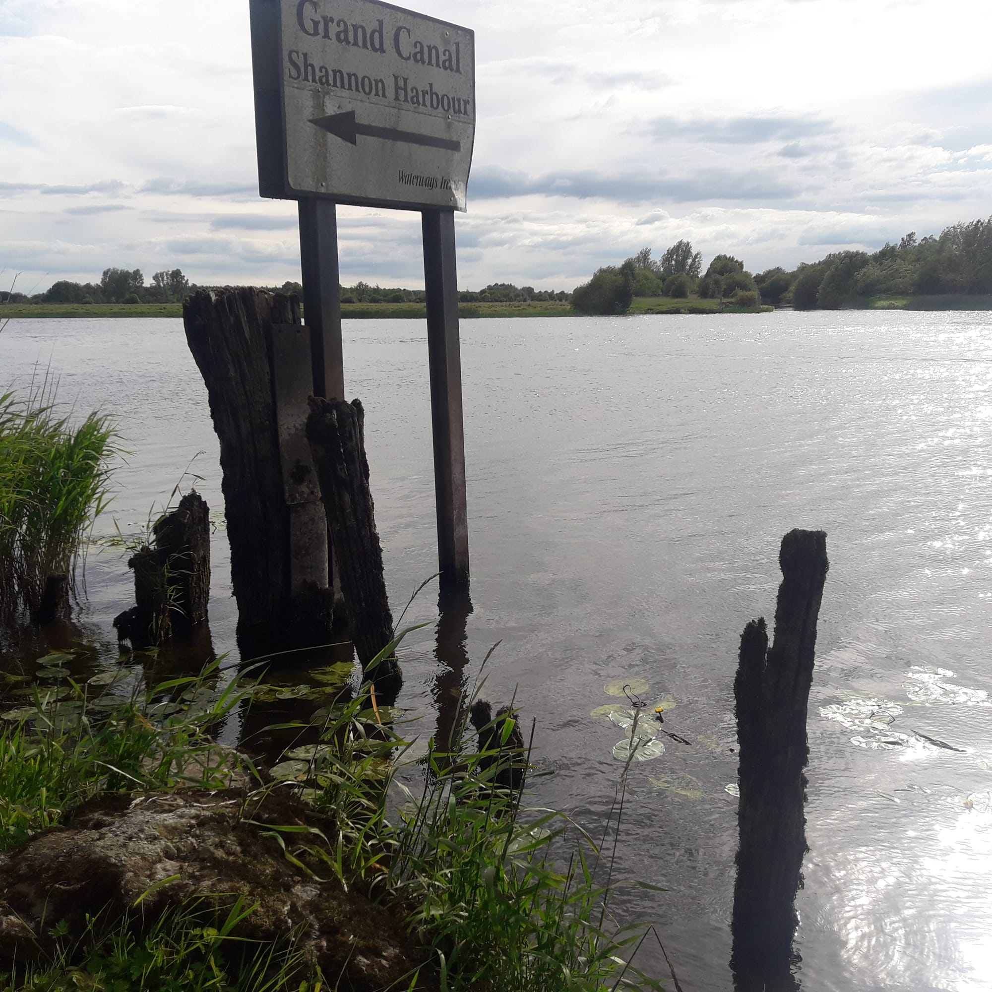 2019 06 22nd Grand Canal Shannon Harbour  crossing to Ballinasloe Line