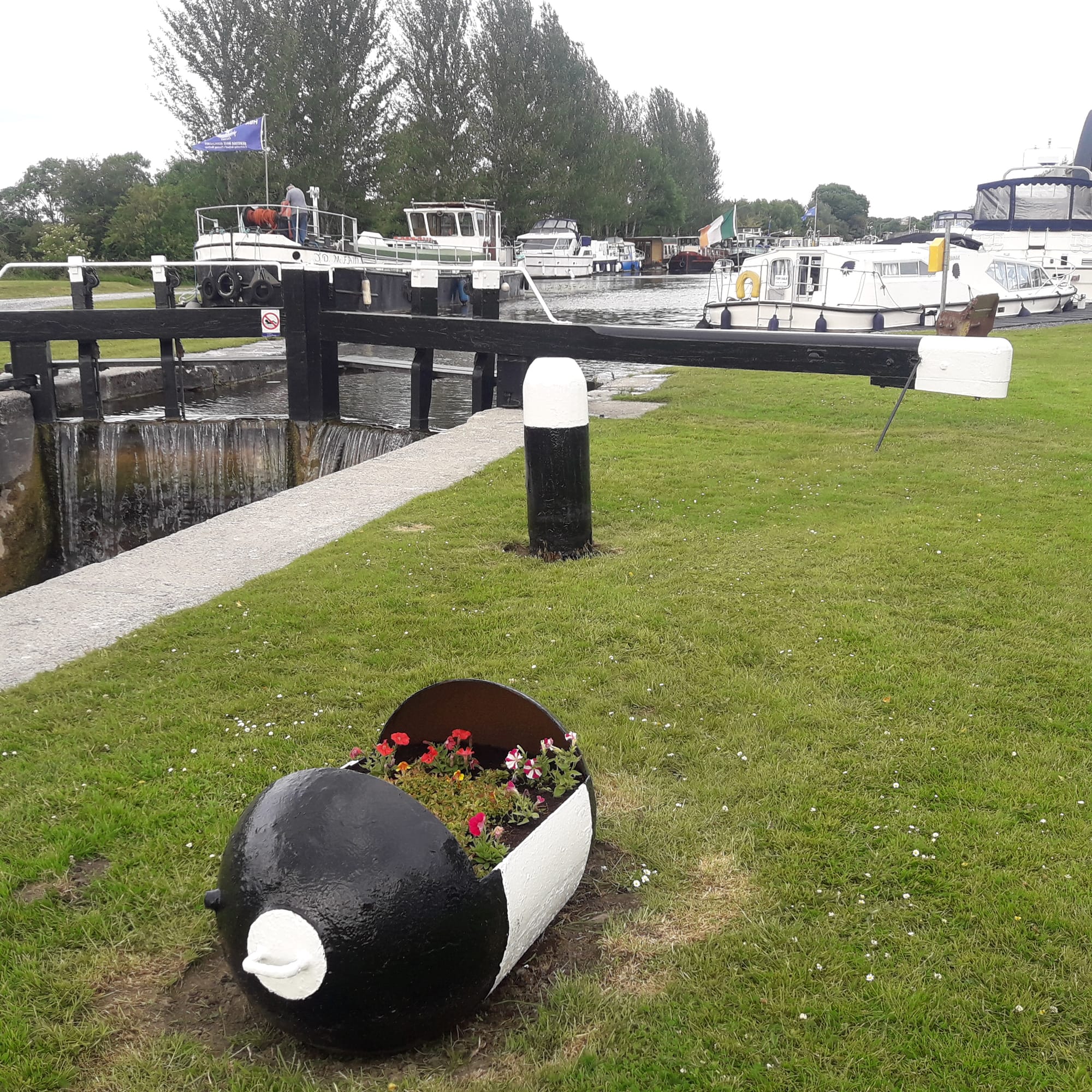 2019 06 22nd Grand Canal Shannon Harbour IWAI rally, lock 35