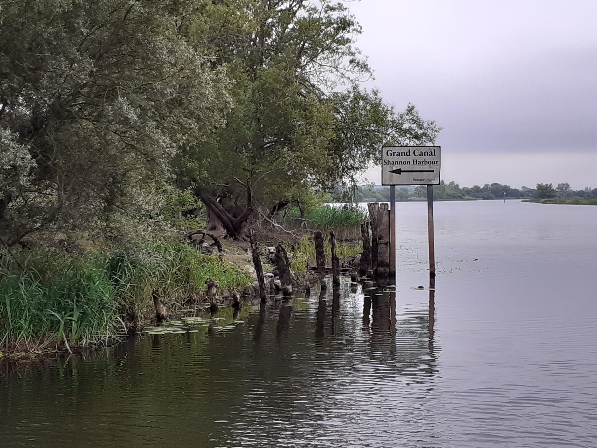 2020 06 13th Grand Canal Shannon Harbour chain ferry to Ballinasloe Line