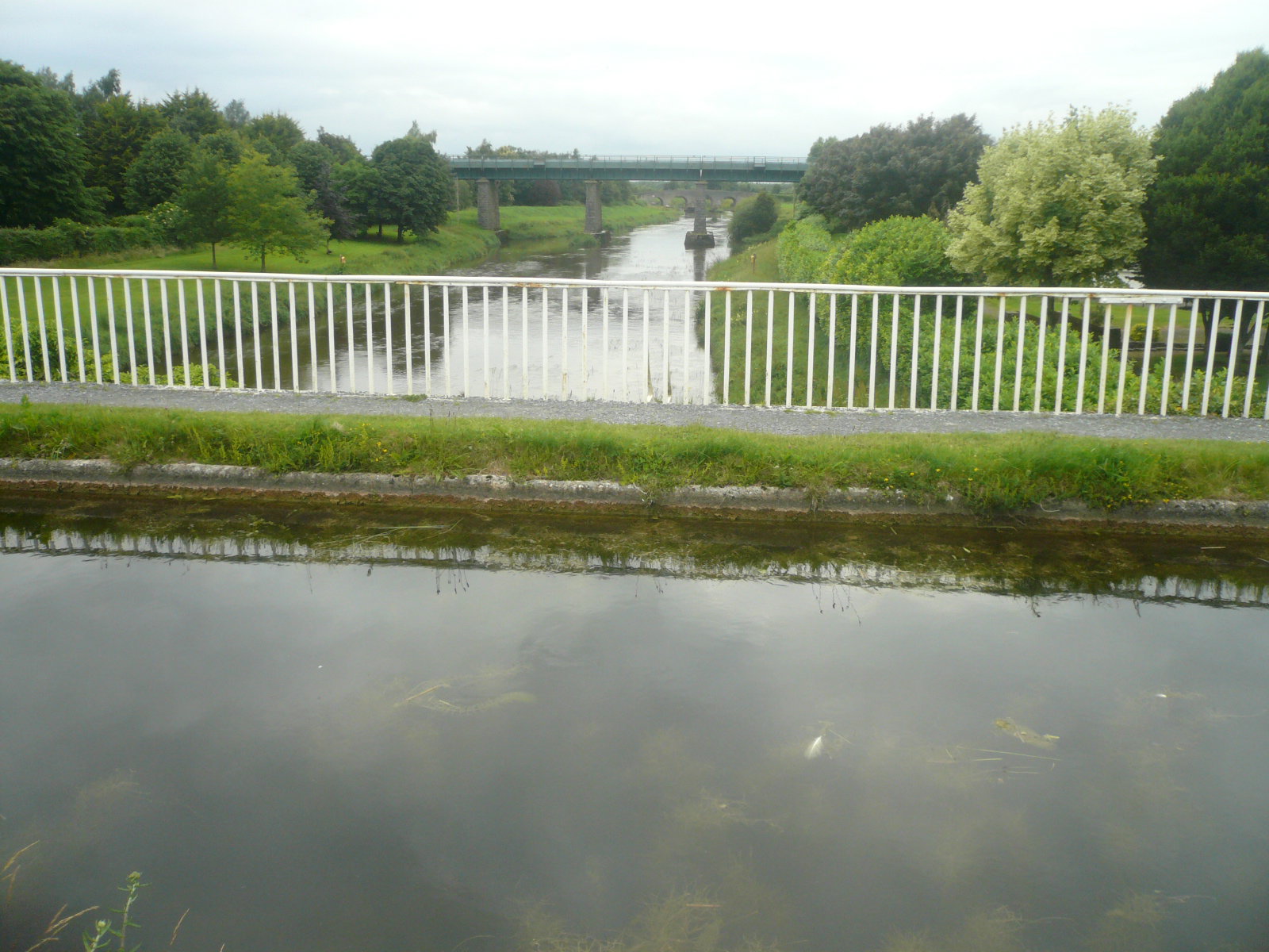 2016 06 Grand Canal Monasterevin aqueduct over the River Barrow