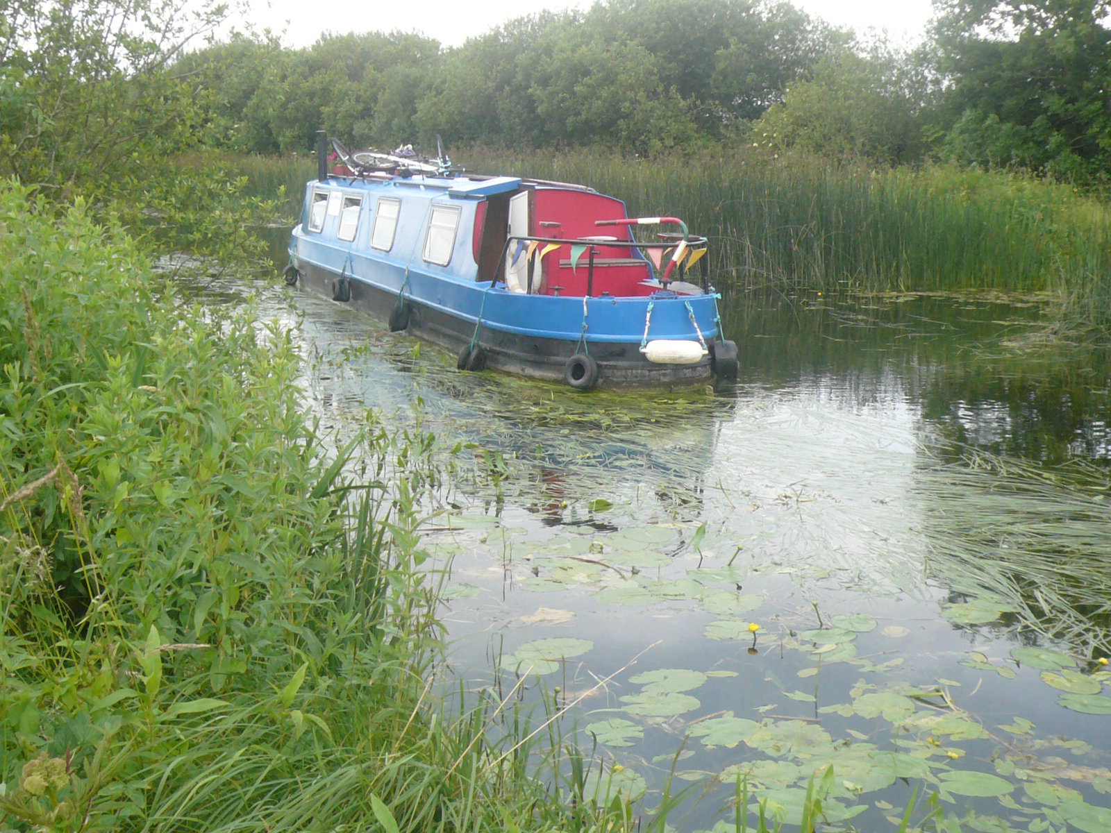 2016 06 Grand Canal Monasterevin weedlocked
