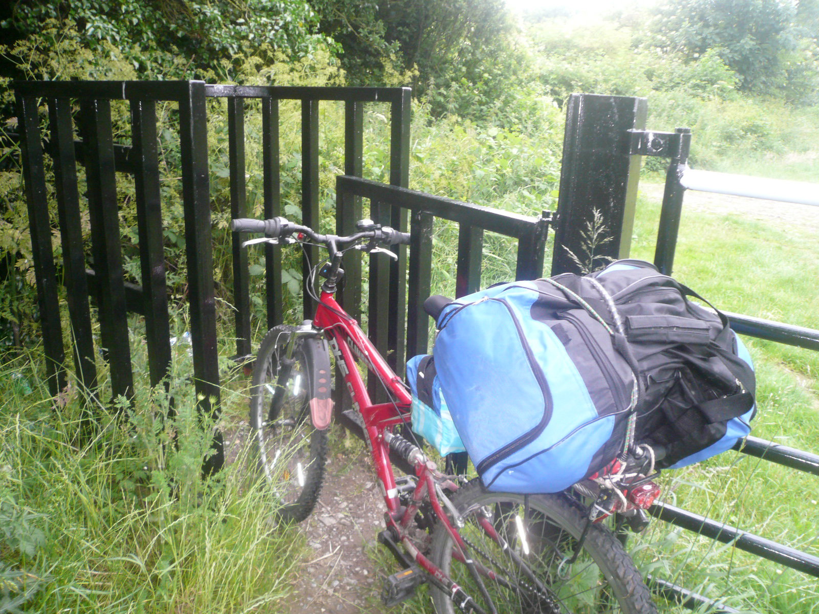2016 06 Grand Canal Rathangan towpath cycle path obstructed