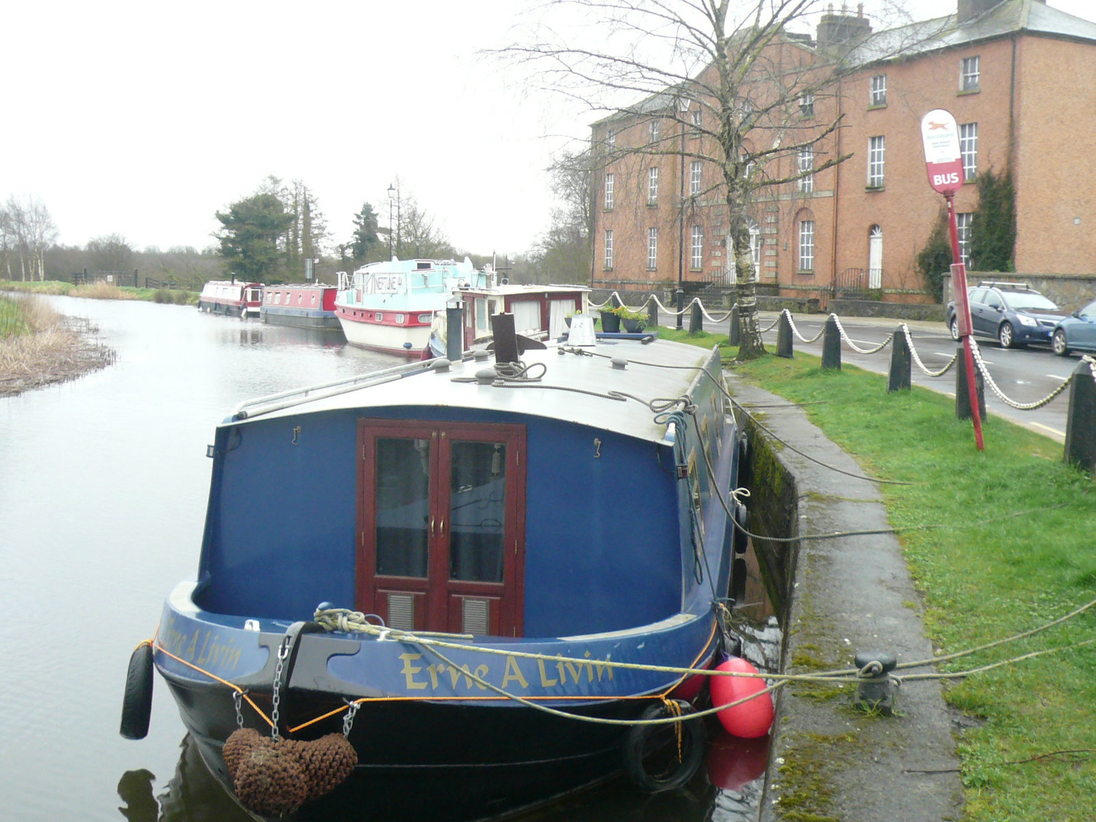 2017 03 Grand Canal Robertstown fleet moored