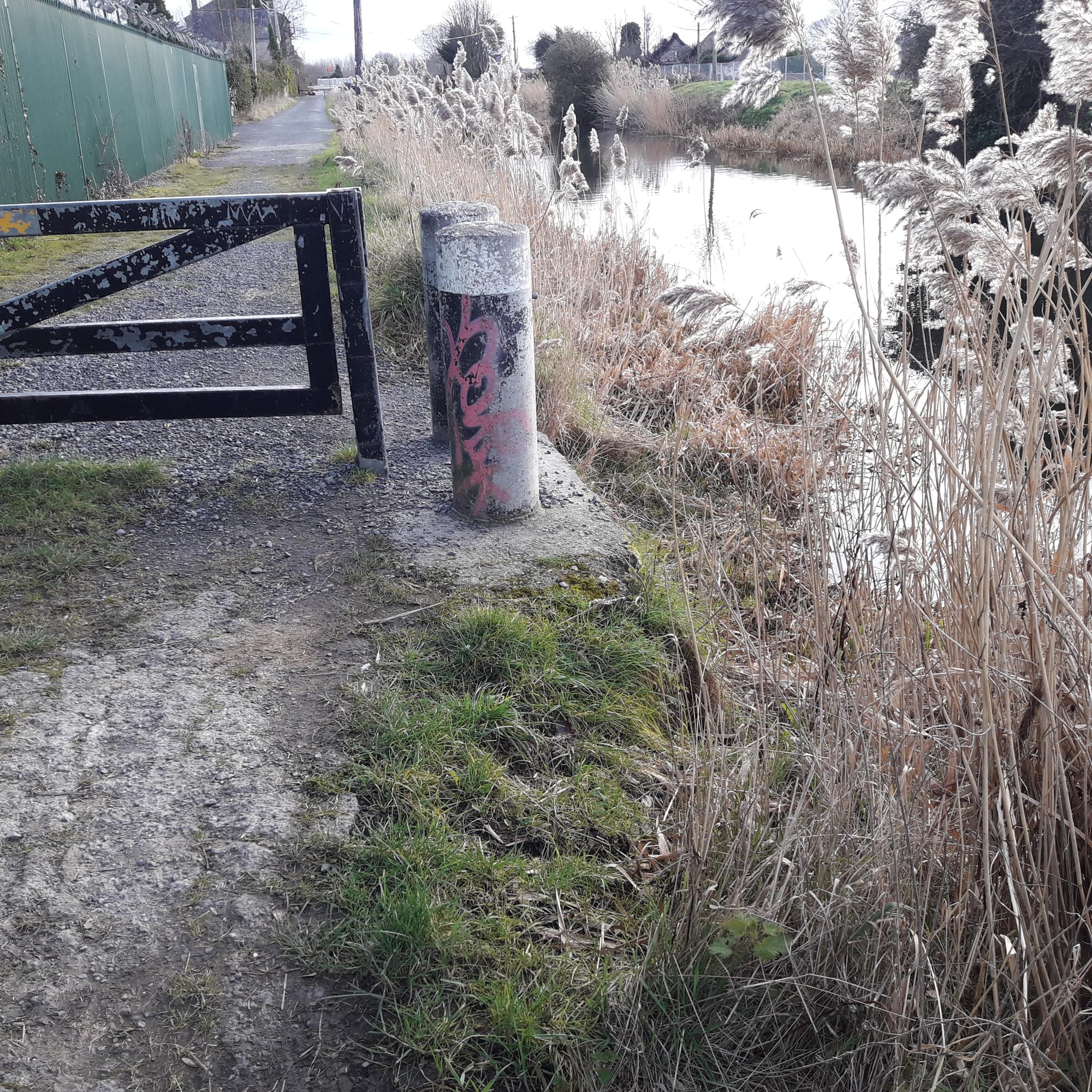 2019 02 16th Grand Canal 12th Lock Gollierstown needs cycleway