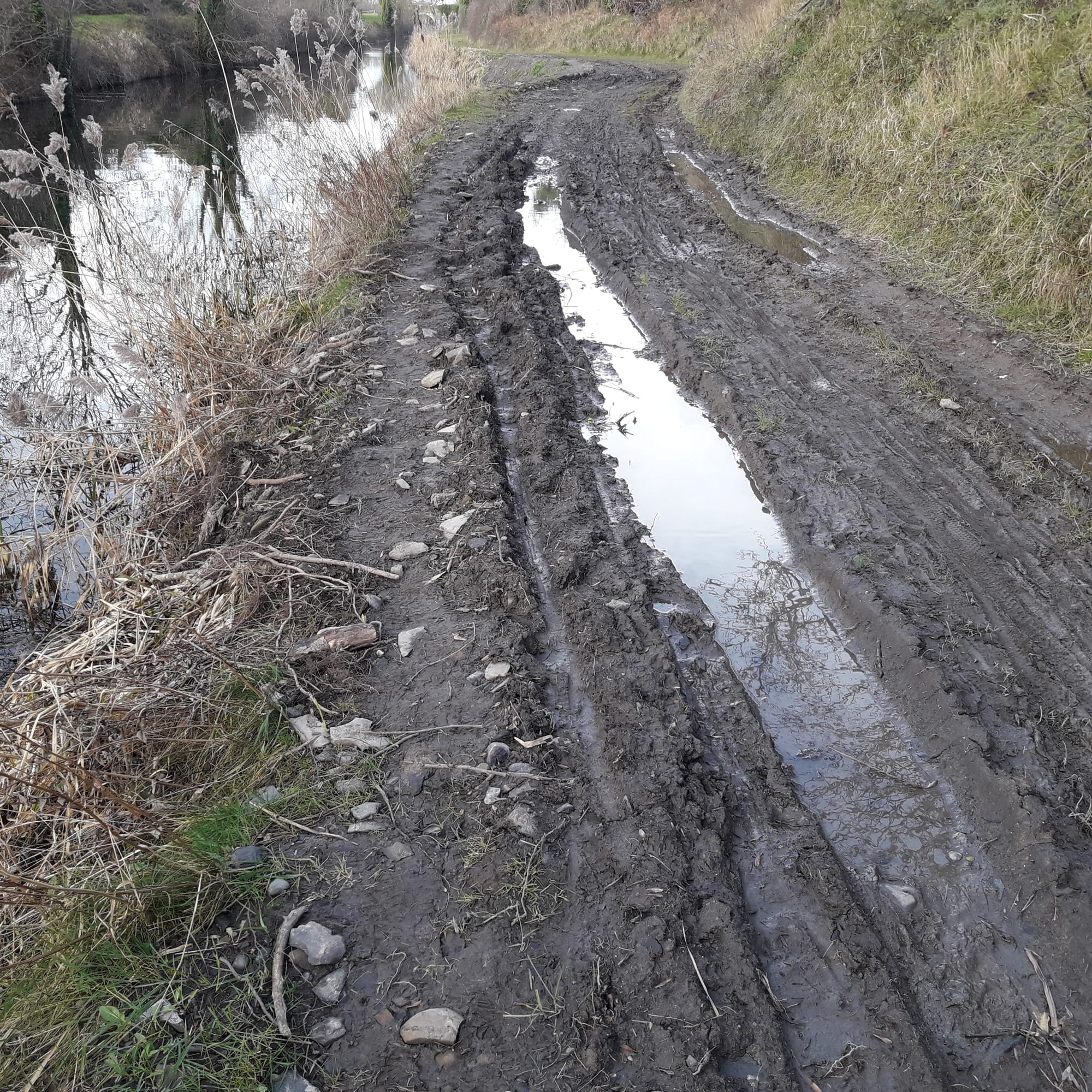 2019 02 16th Grand Canal 12th Lock Gollierstown needs towpath surface