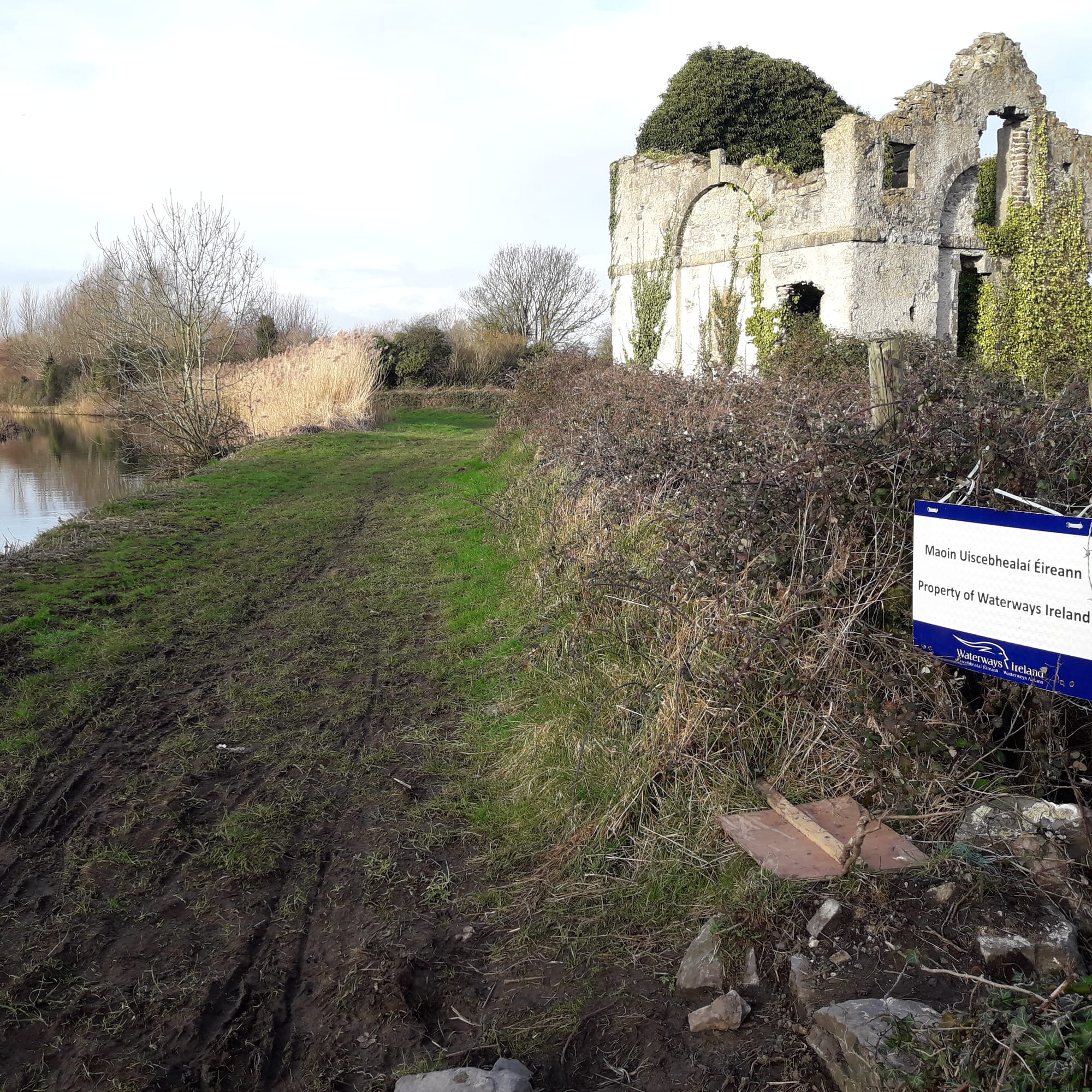 2019 02 16th Grand Canal Stacumney near Hazelhatch