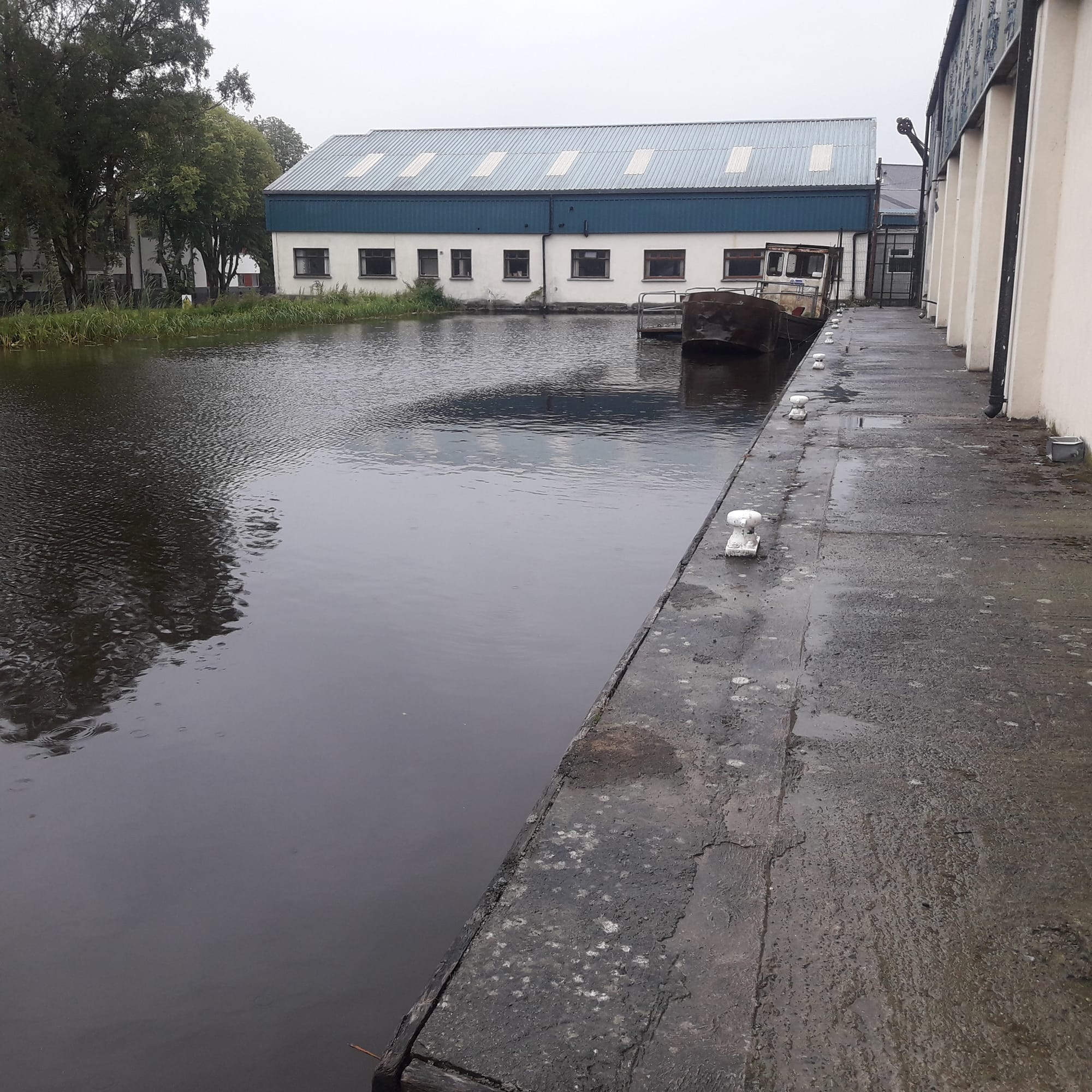 2019 06 23rd Grand Canal Tullamore Harbour