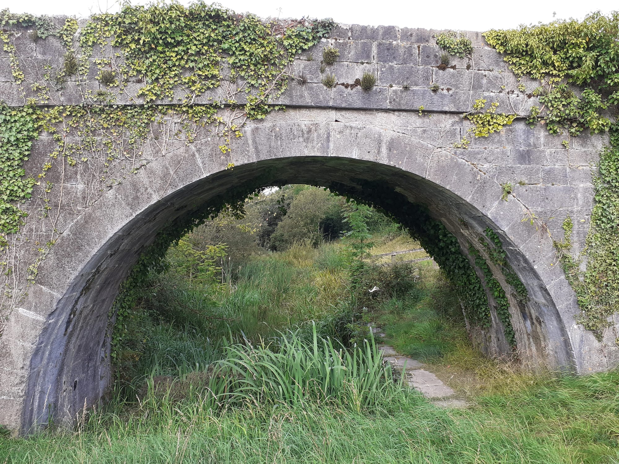 2019 08 29th Grand Canal Ballycommon bridge entrance to Kilbeggan Line