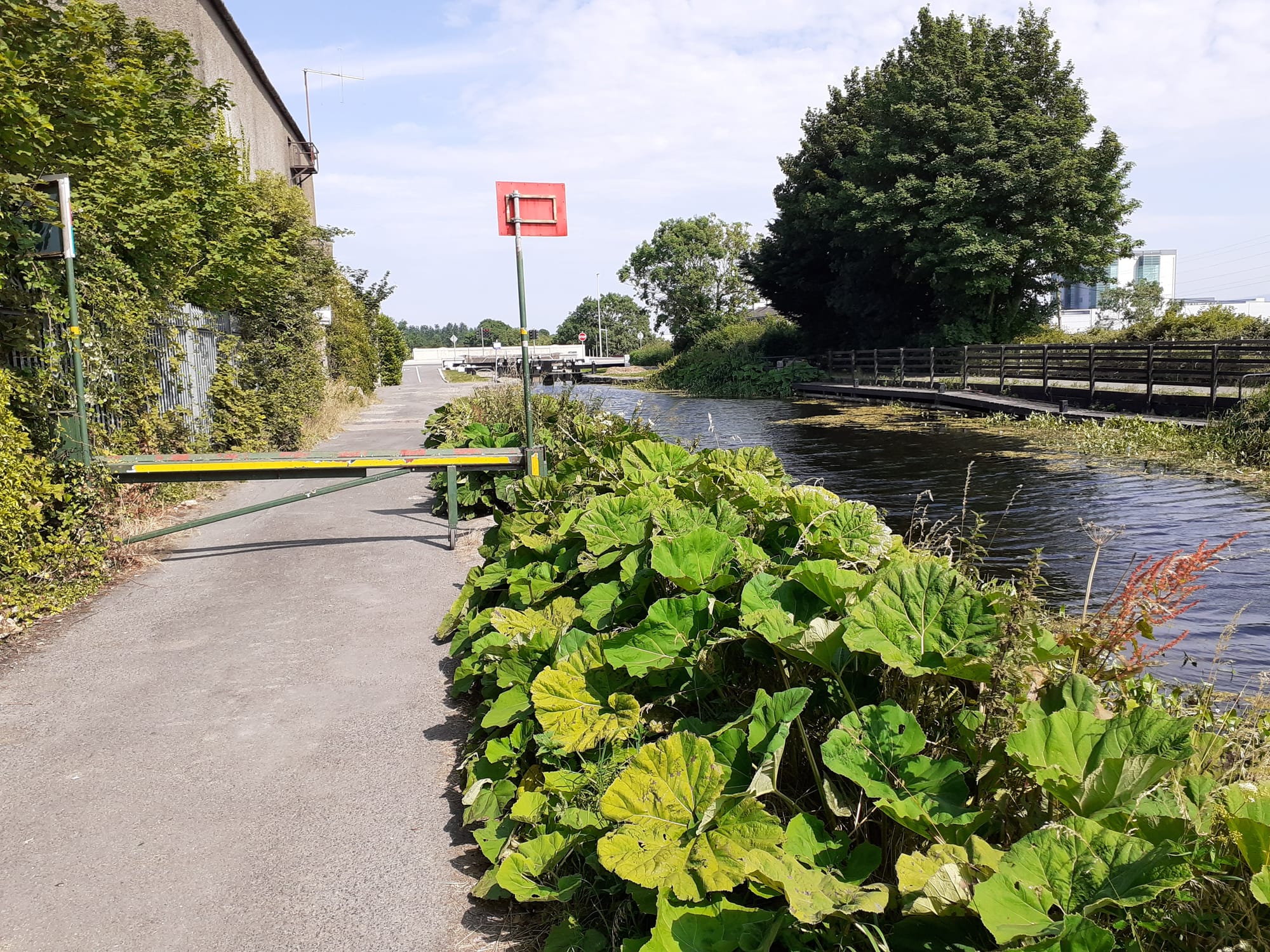 2021 07 04th  Grand Canal lock 12 Lucan former mill buildings