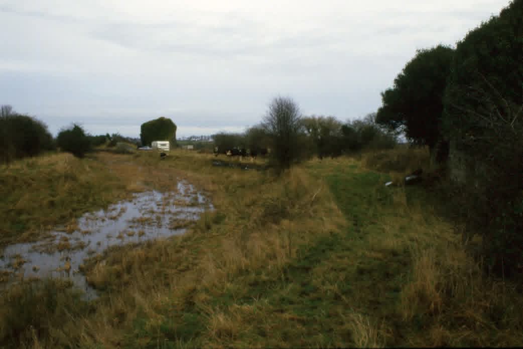000 Royal Canal Ballybranigan Harbour Facebook post