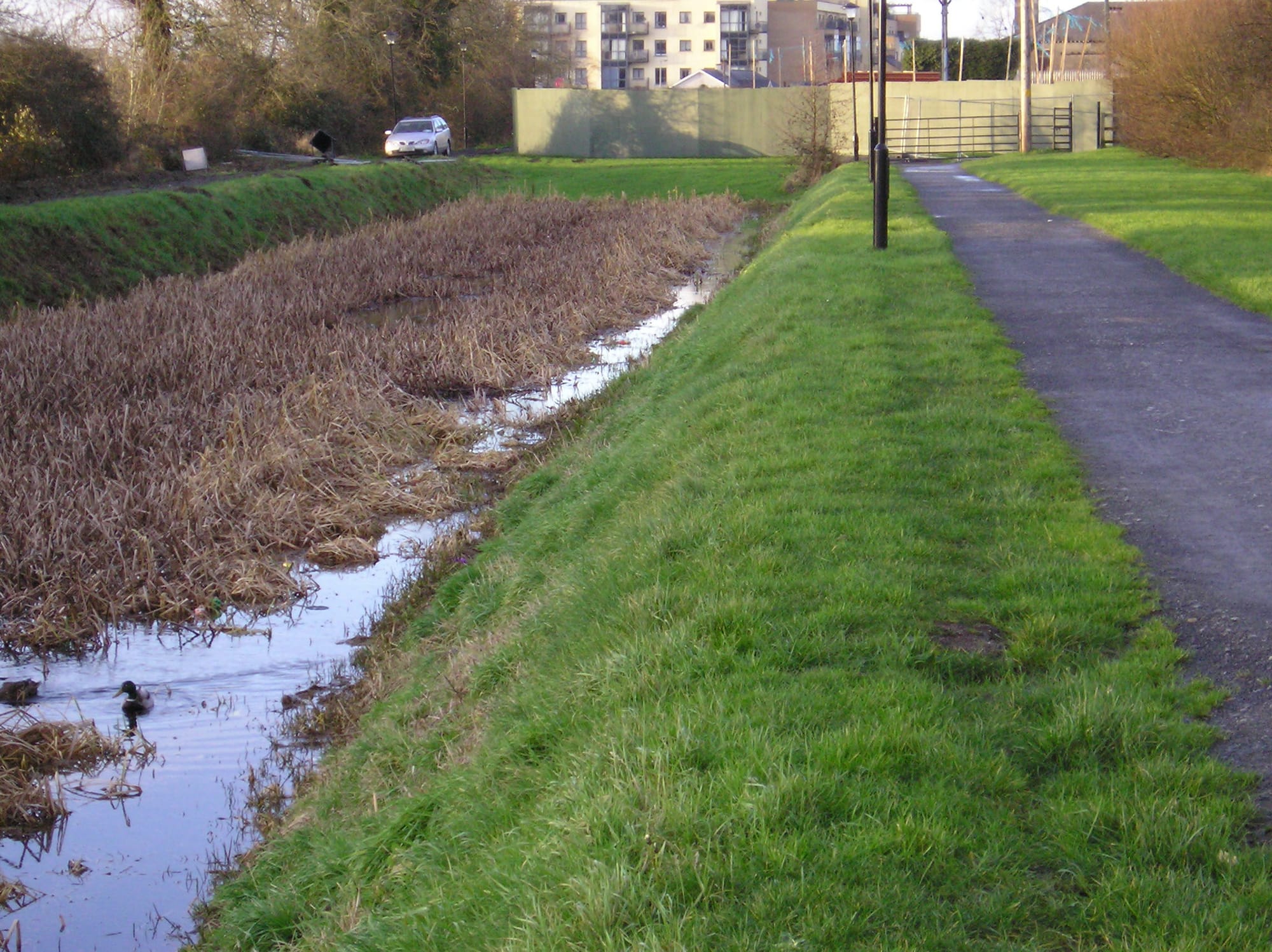 2008 01 Royal Canal Longford Harbour, construction works at end of the line