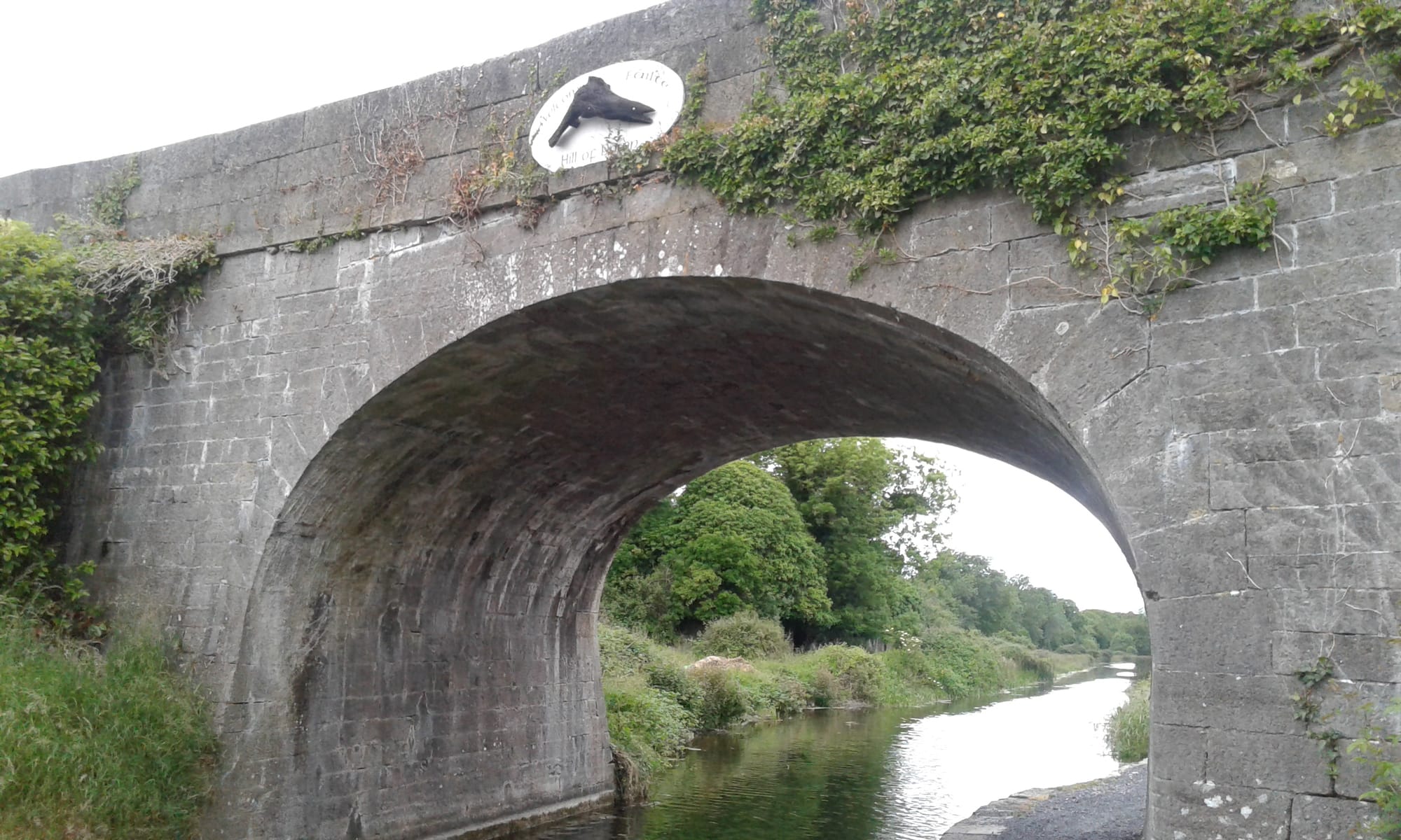 2018 06 17th Royal Canal Hill of Down bridge art