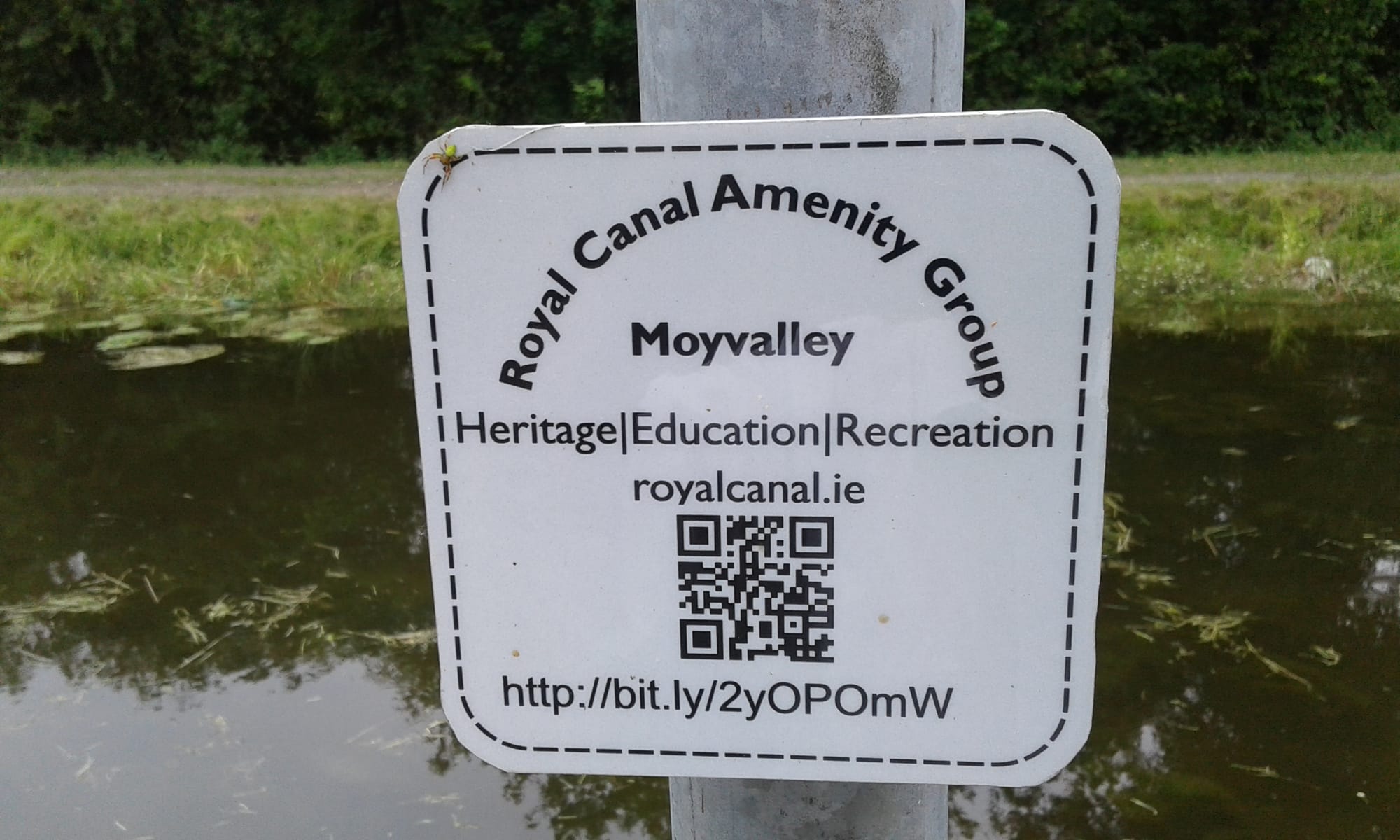 2018 07 Royal Canal Moyvalley, QRcode