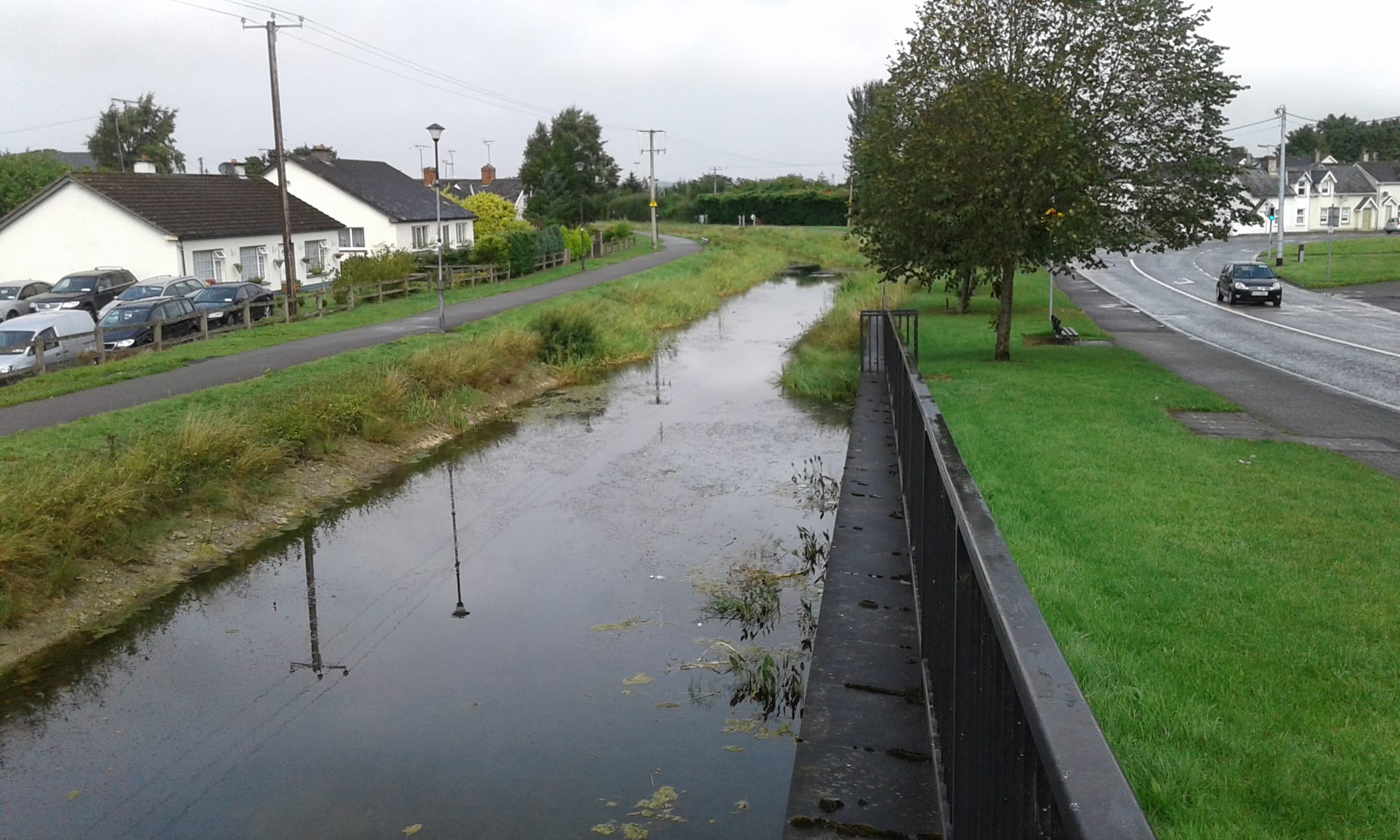 2018 08 20th Royal Canal Mullingar