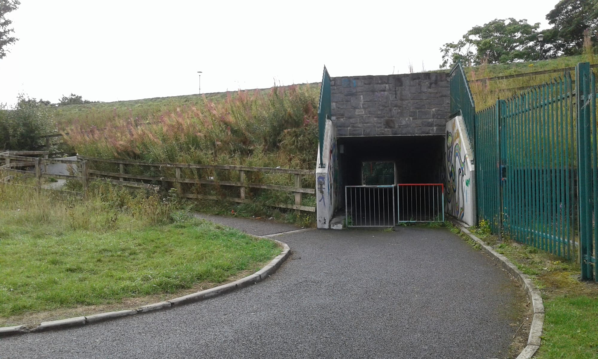 2018 08 20th Royal Canal Mullingar