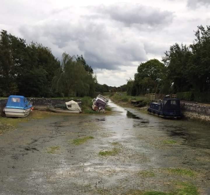 2018 09 Royal Canal Coolnahay low water levels continued during year