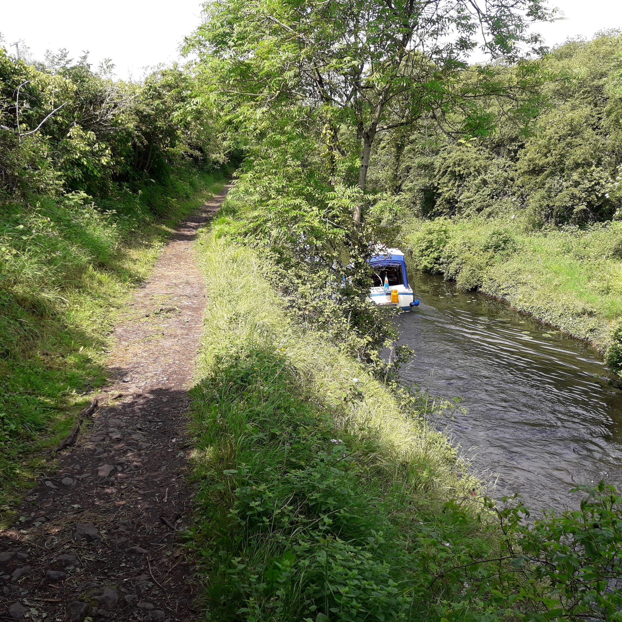 2019 06 02nd Royal Canal Dublin, Deep Sinking, boats underway west of Lock 12 Castleknock