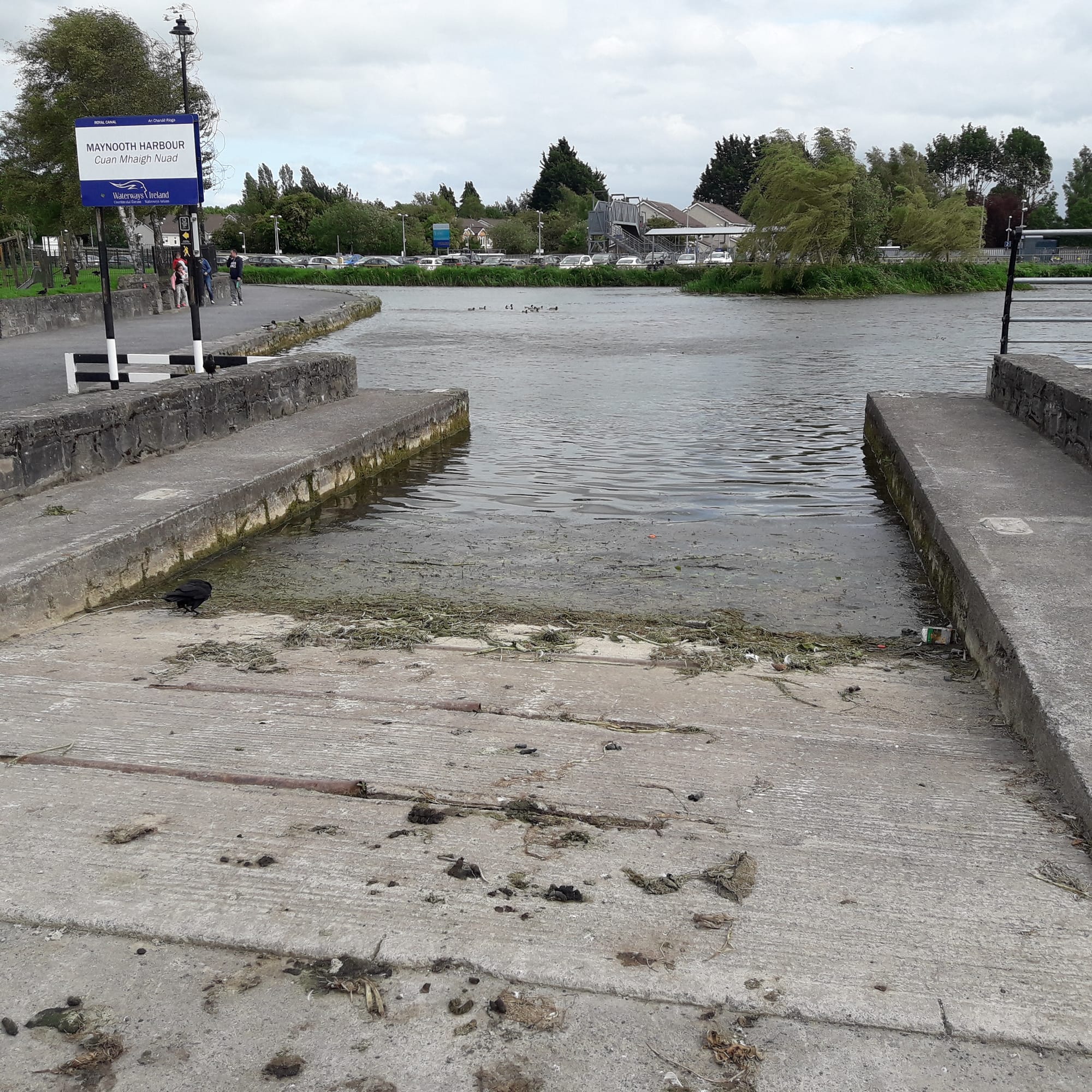 2019 06 02nd Royal Canal Maynooth Dukes Harbour,