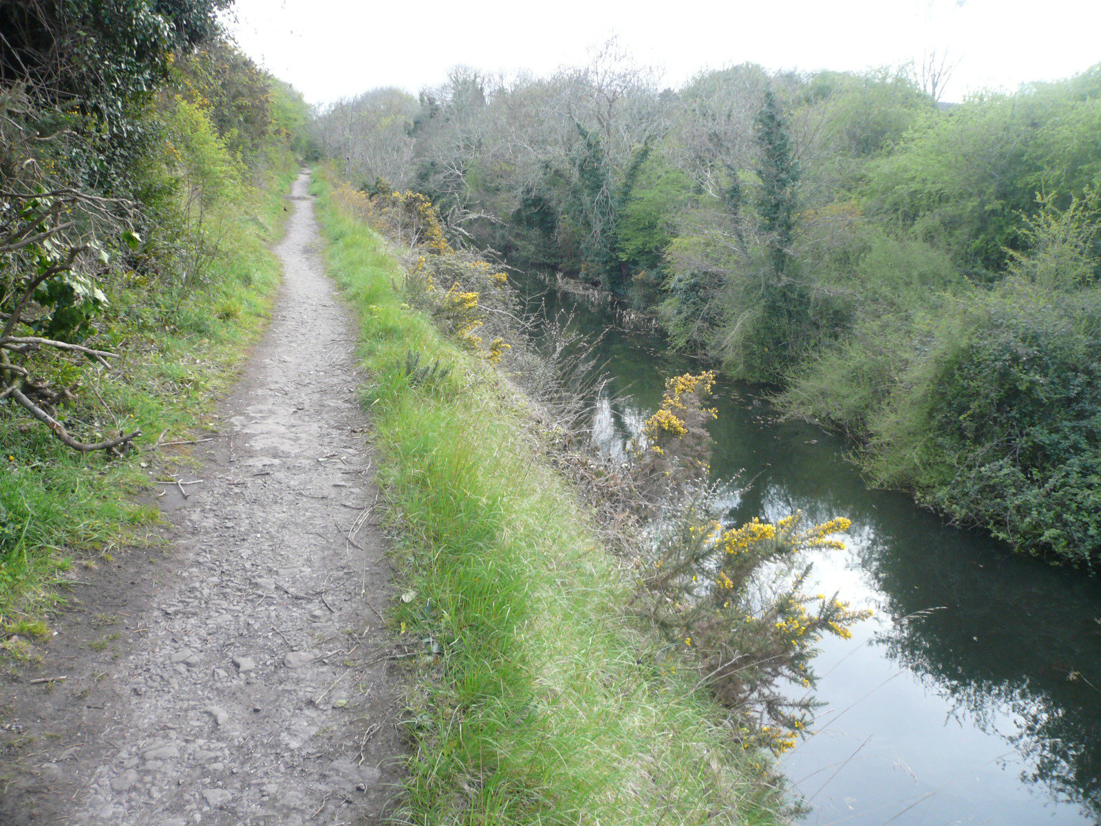 2016 07 Royal Canal Dublin, west of lock 12 Castleknock, the Deep Sinking