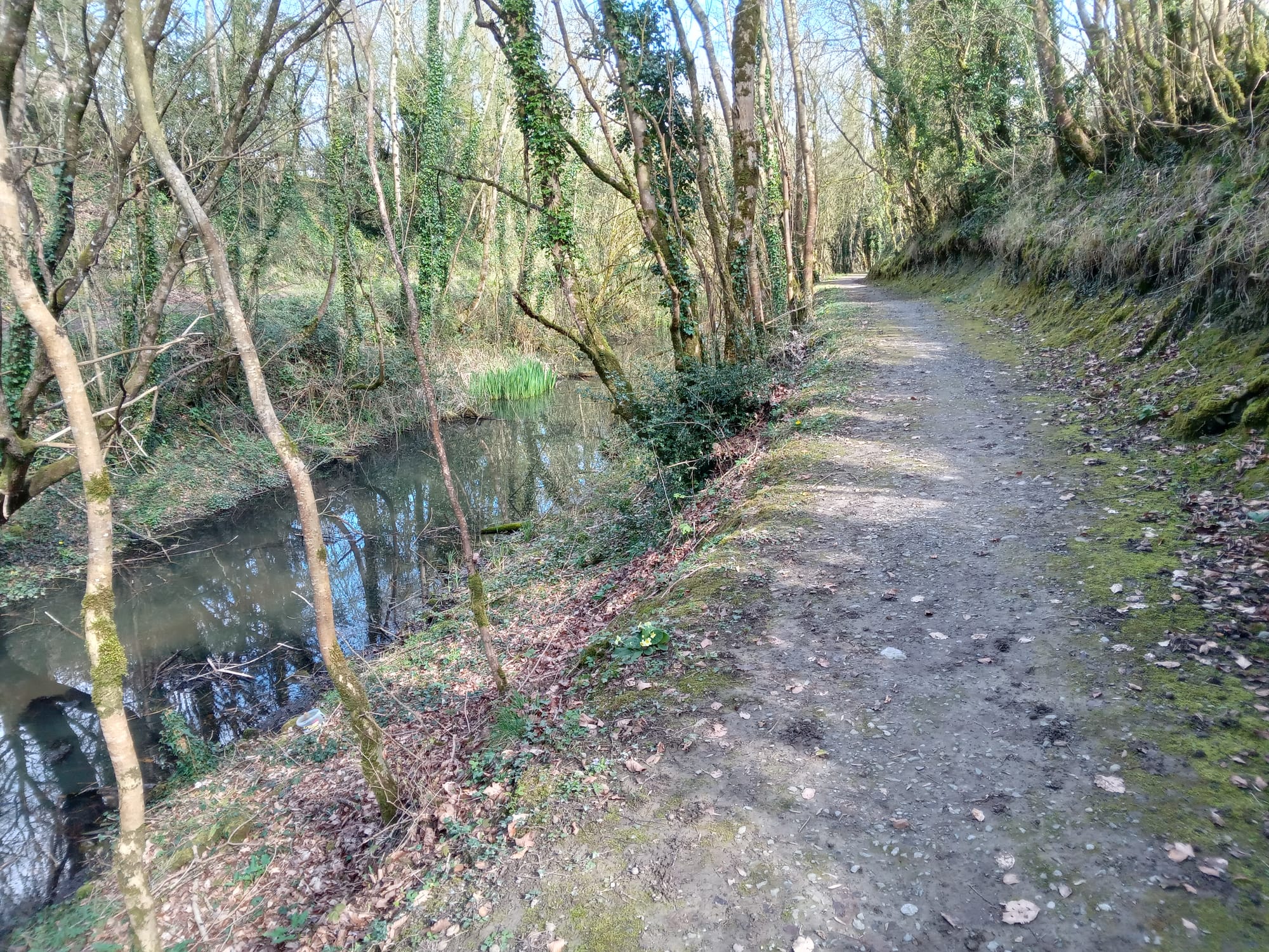 2023 04 07th Grand Canal Kilbeggan Line, some parts have returned to water without any intervention