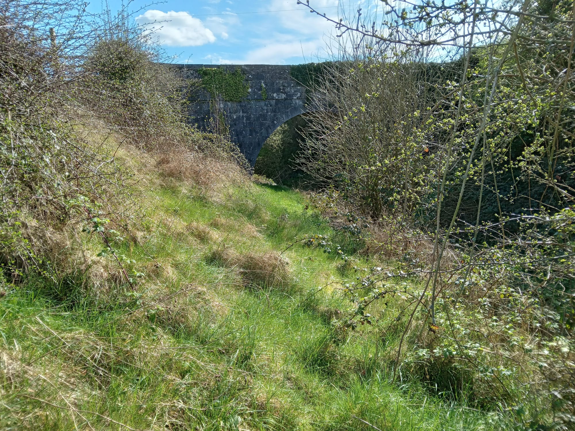 2023 04 07th Grand Canal Kilbeggan Line, awaits water