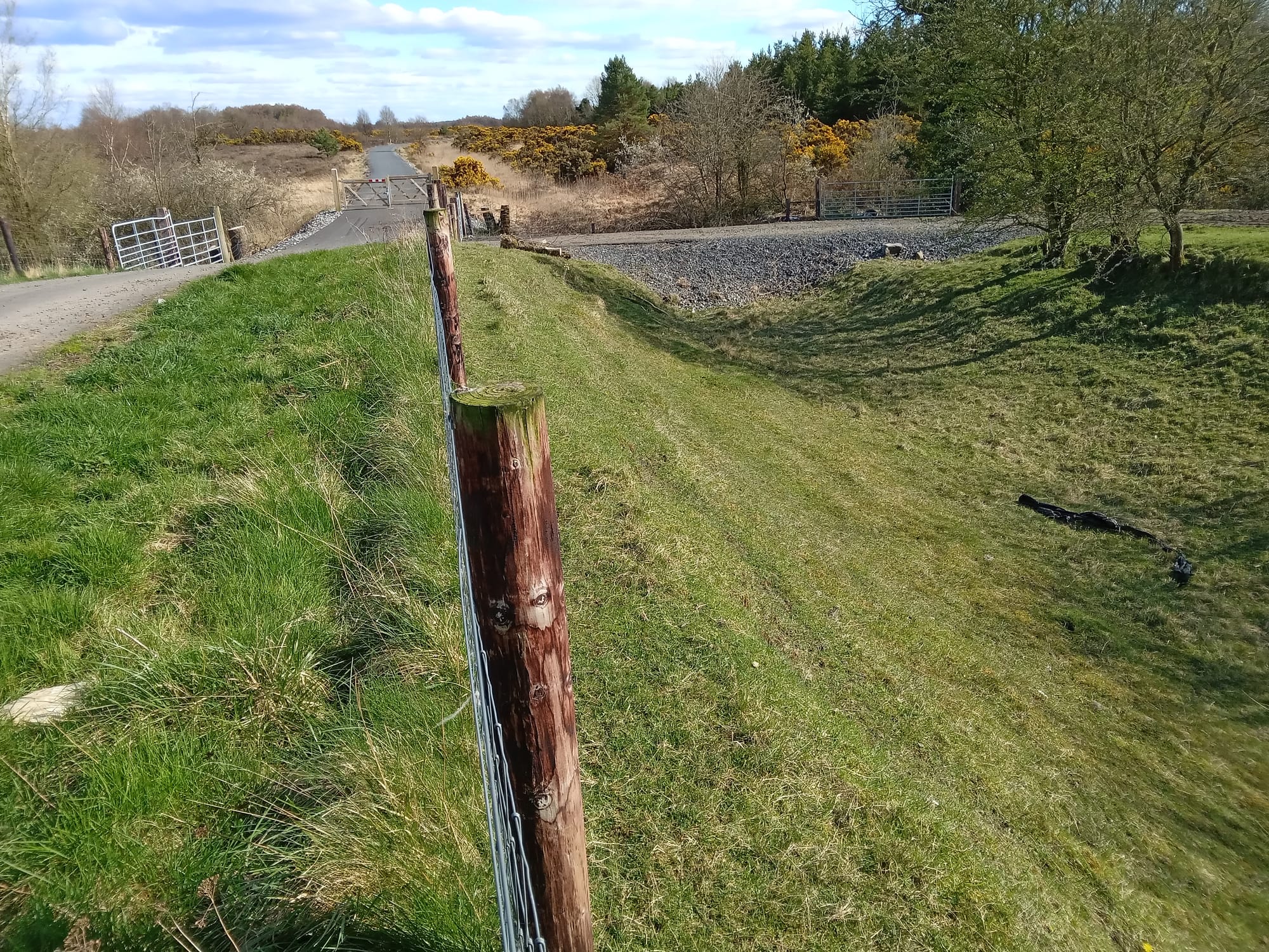 2023 04 07th Grand Canal Kilbeggan Line, awaits water, culverts are becoming accepted