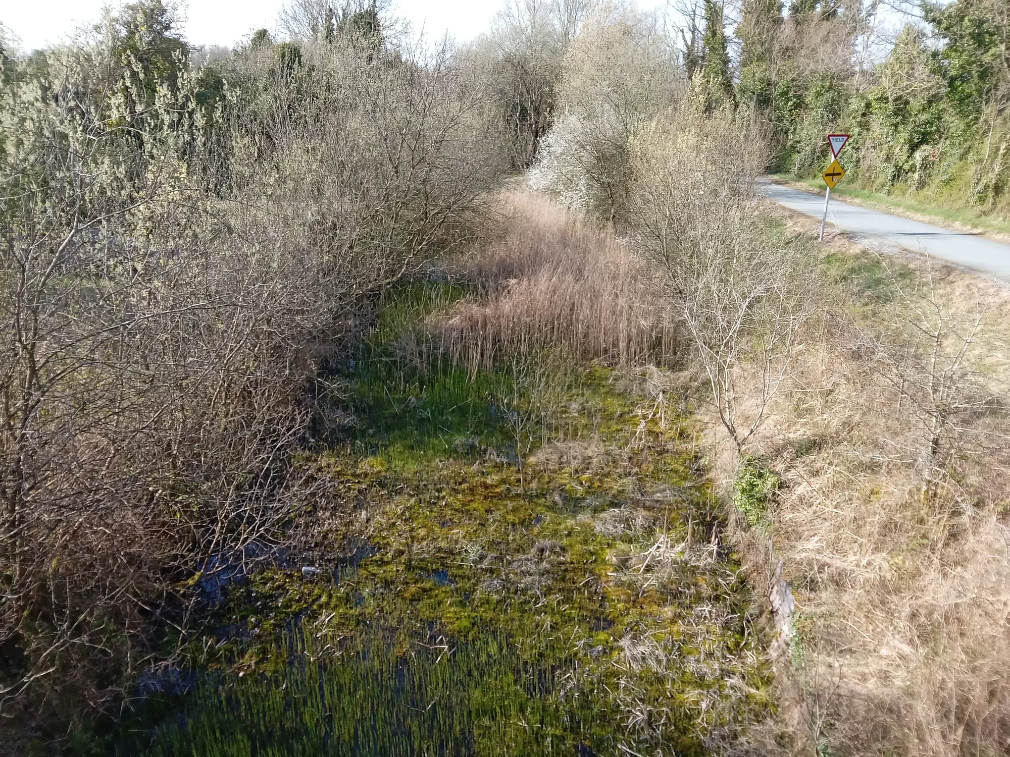 2023 04 07th Grand Canal Kilbeggan Line, awaits water