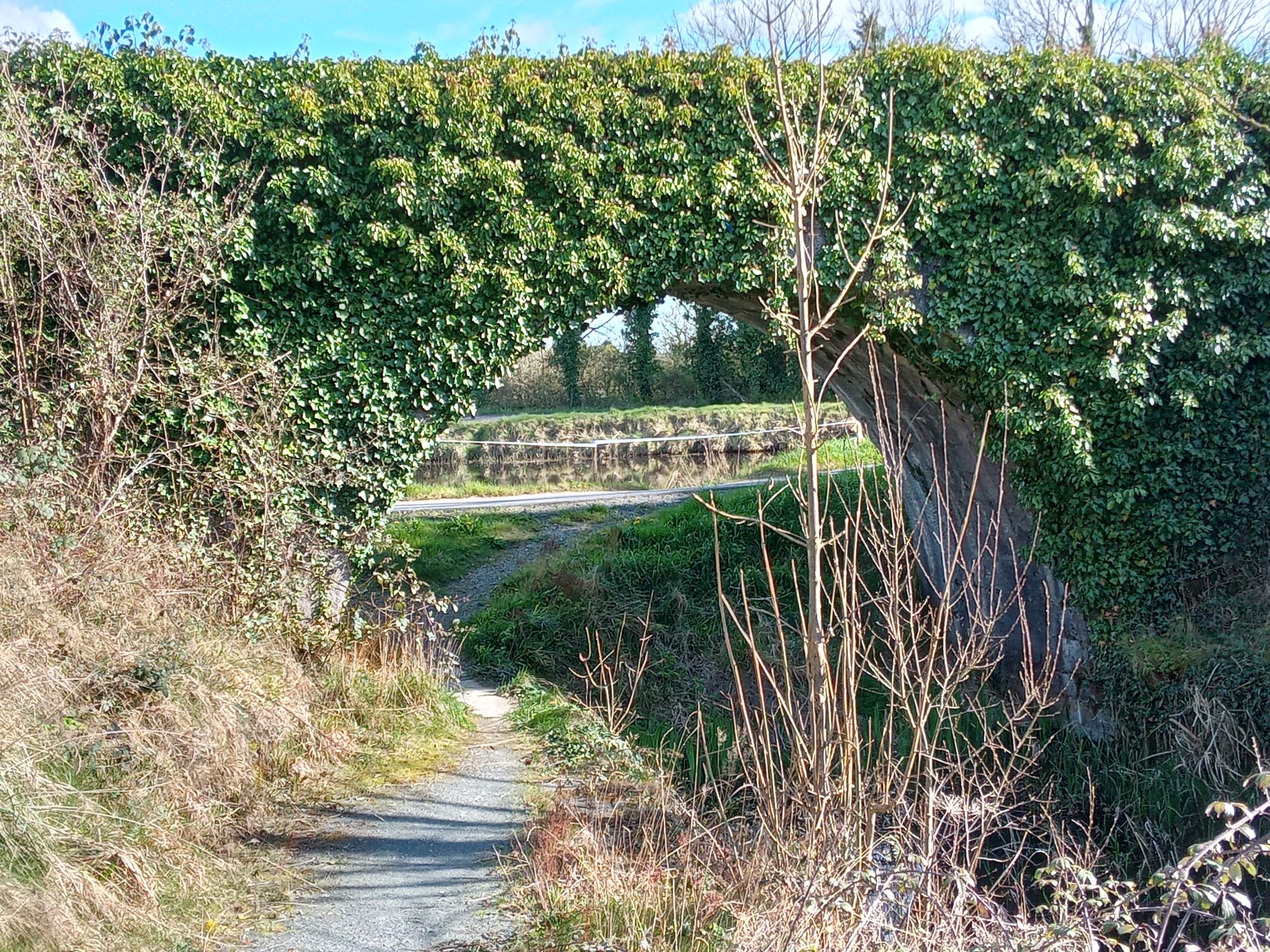 2023 04 07th Grand Canal Kilbeggan Line, awaits water