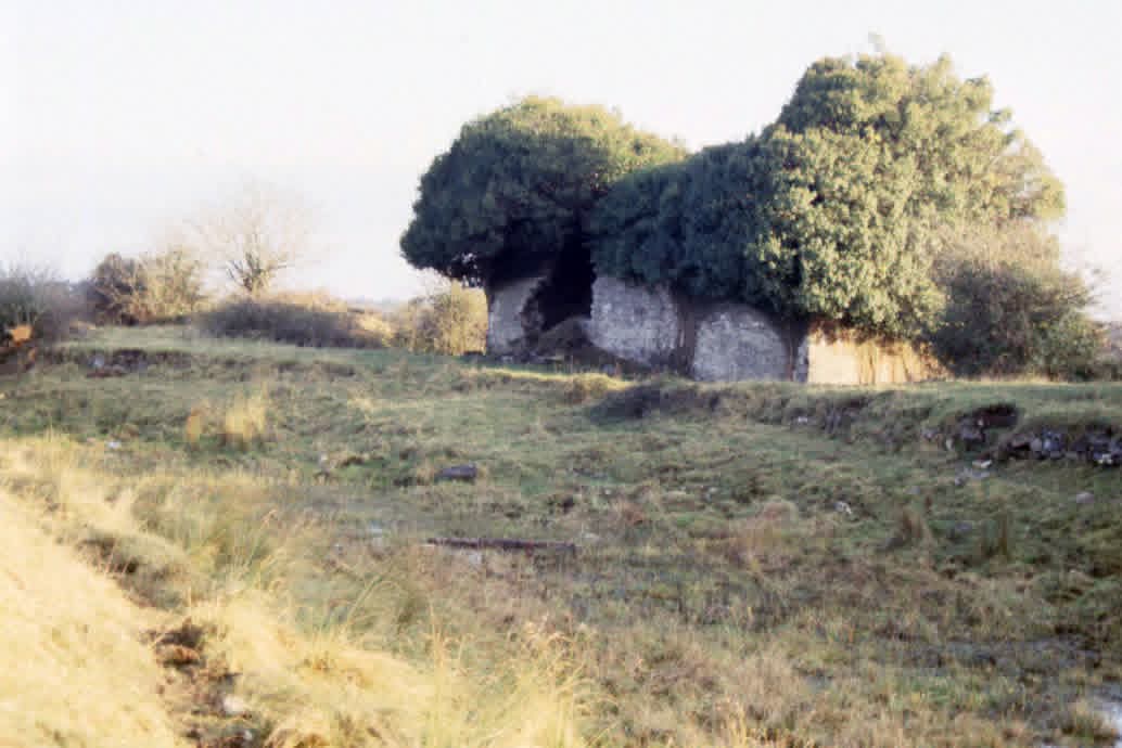 000 Royal Canal Ballybranigan Harbour Facebook post